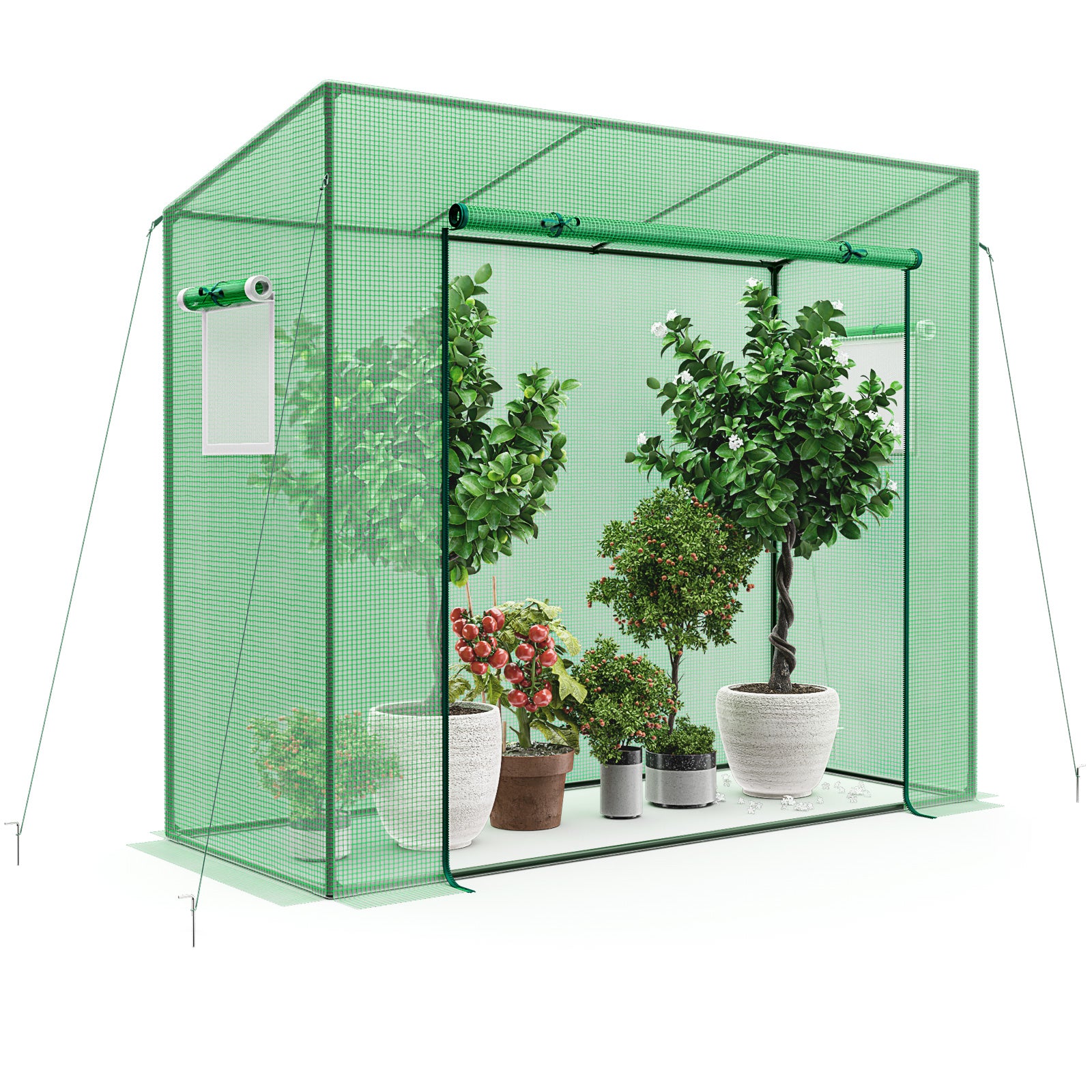 Outdoor Portable Walk-in Greenhouse with PE Cover Heavy-Duty Metal Frame Roll-up Zipper Door, Green - Gallery Canada