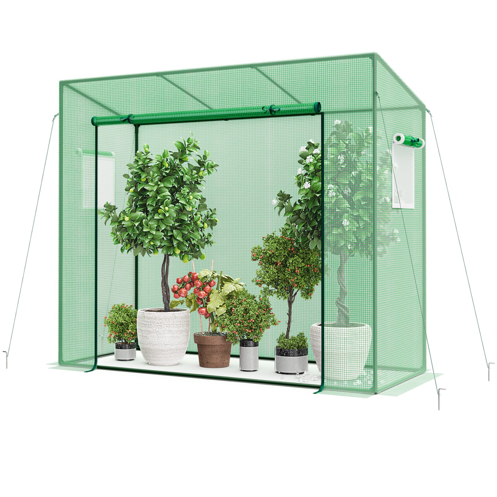 Outdoor Portable Walk-in Greenhouse with PE Cover Heavy-Duty Metal Frame Roll-up Zipper Door, Green Greenhouses   at Gallery Canada