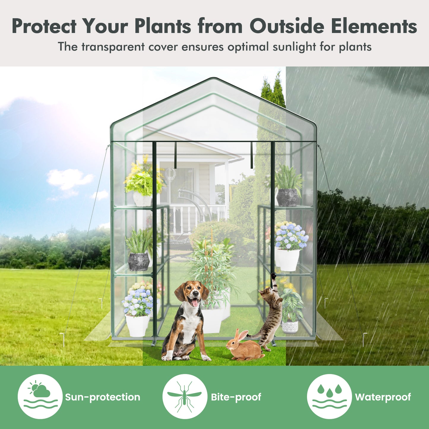 Walk-in Greenhouse with 4 Tiers 8 Shelves PVC Cover Roll-up Zippered Door, Transparent Greenhouses   at Gallery Canada