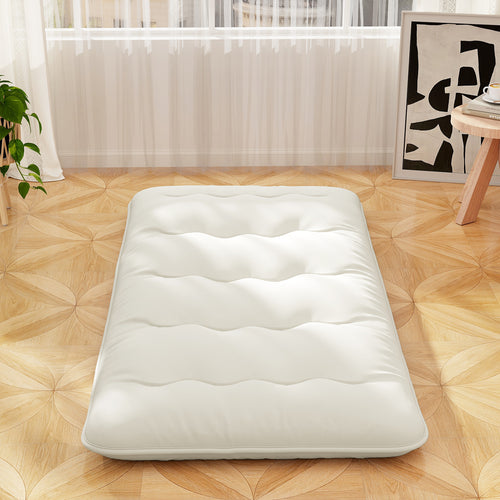 Queen/King/Twin/Full Futon Mattress Floor Sleeping Pad with Washable Cover Beige-Twin Size, Beige