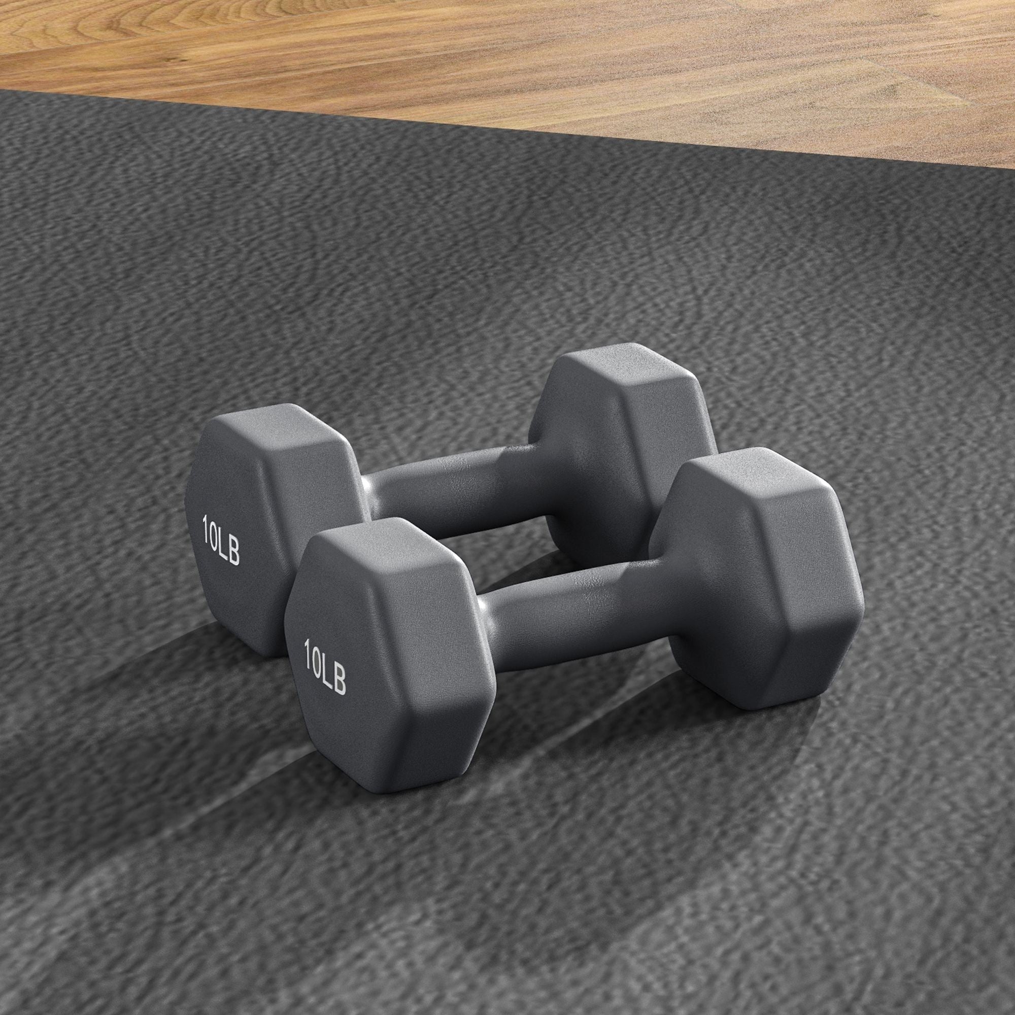 2 x 10LBS Hexagonal Dumbbells, Set of 2 Weights with Non-Slip Grip for Home Gym Workout Dumbbells & Barbells at Gallery Canada