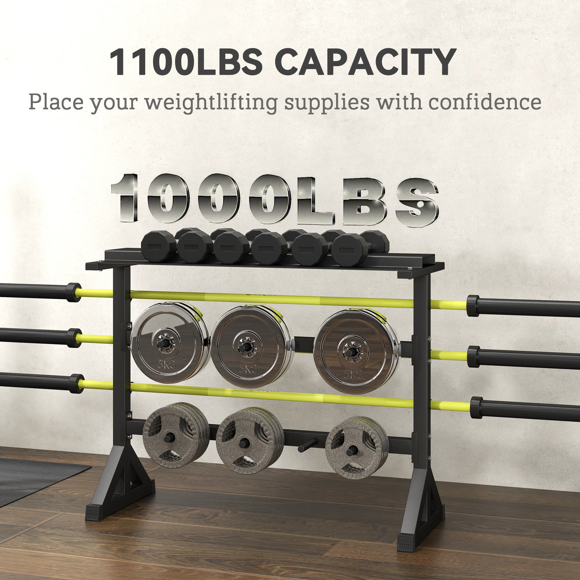 1100LBS Capacity Weight Rack, Weight Plate Rack, and Dumbbell Rack for Home Gym Storage Accessories at Gallery Canada
