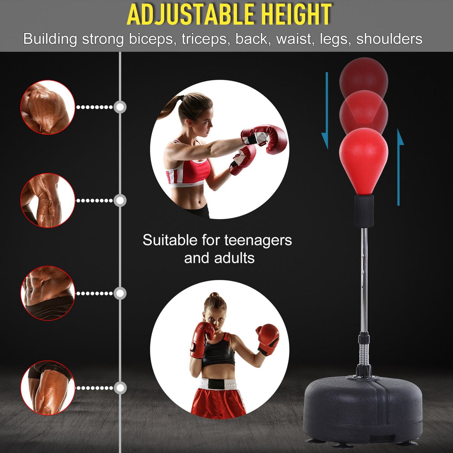 Adjustable Height Free Standing Boxing Bag Set with 6 Suction Cups and Boxing Gloves, for Exercise Training Strength Training Equipment at Gallery Canada