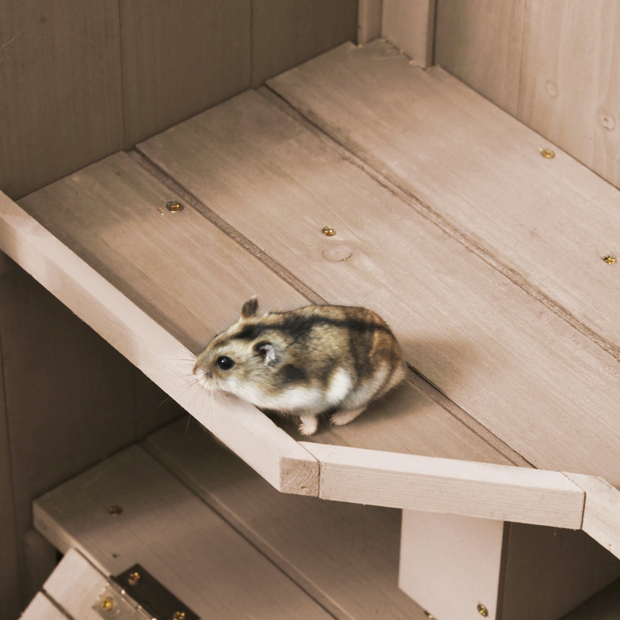 3 Tier Wooden Hamster Cage with Wheels for Syrian, Dwarf Hamster, Nature Wood Hamster Cages   at Gallery Canada