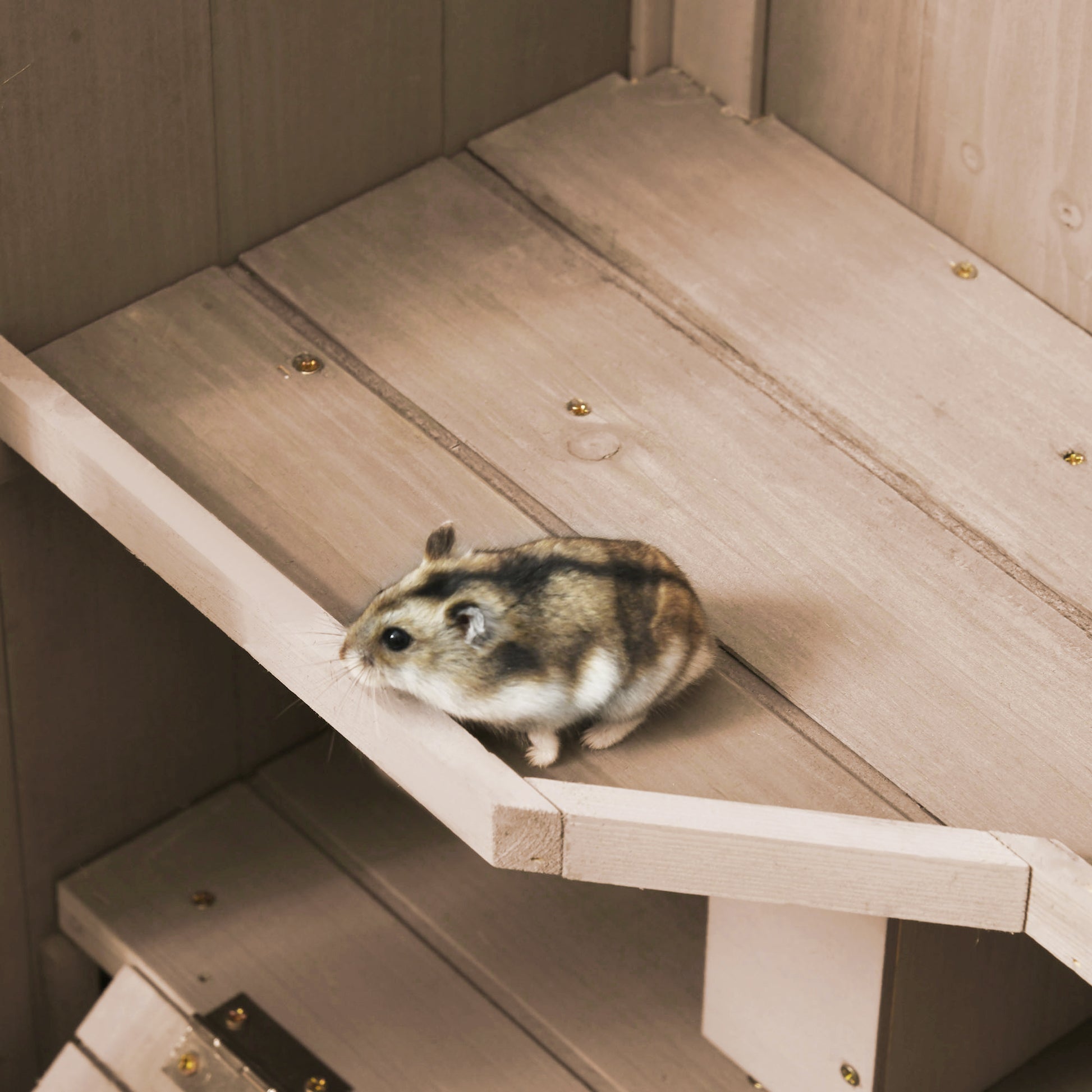 3 Tier Wooden Hamster Cage with Wheels for Syrian, Dwarf Hamster, Nature Wood Hamster Cages   at Gallery Canada