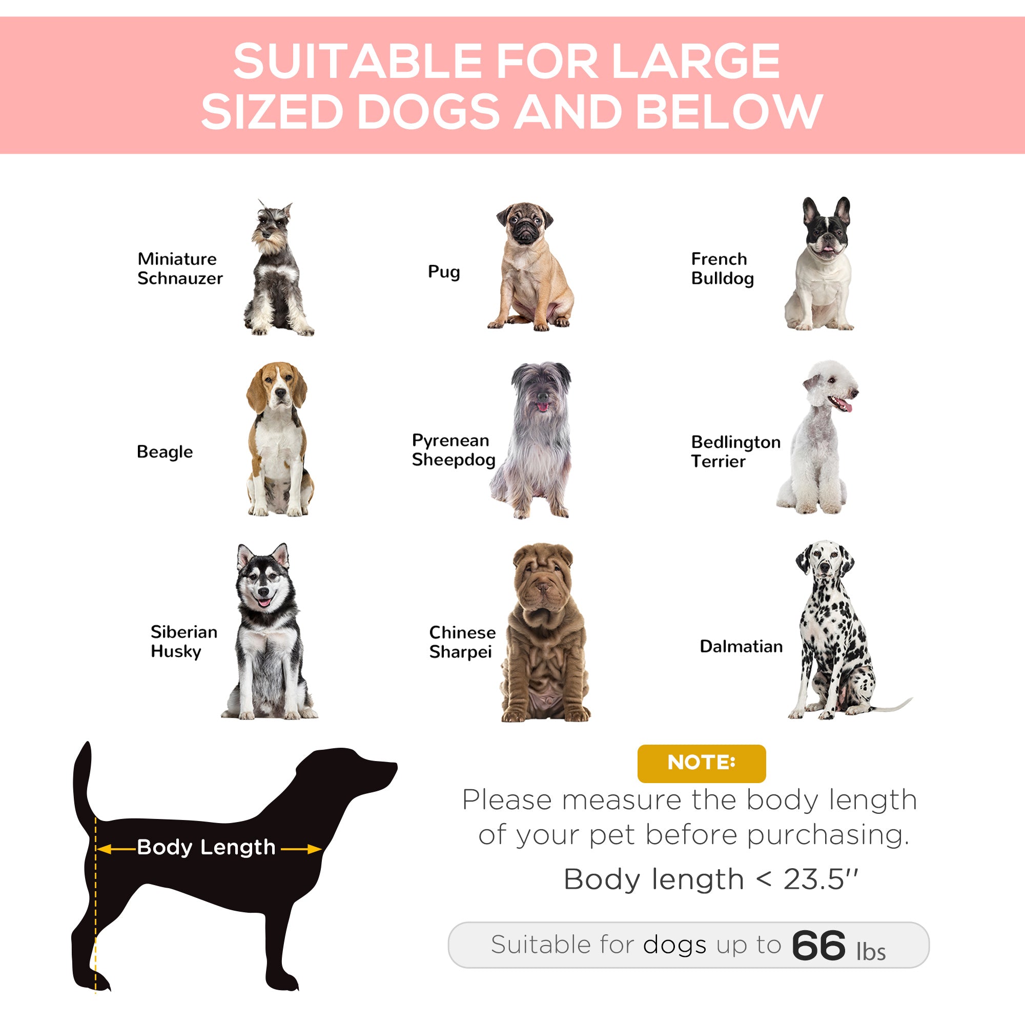 Elevated Dog Bed, Raised Dog Cot for XL Sized Dogs, Indoor &; Outdoor, 36