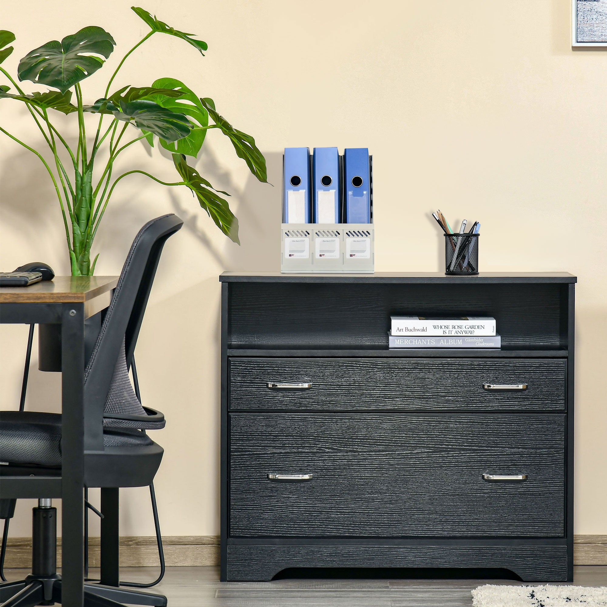 Lateral File Cabinet with 2 Drawers, Filing Cabinet for Hanging Letter Sized Files, Office Printer Stand, Black Office Cabinets & Cupboards at Gallery Canada