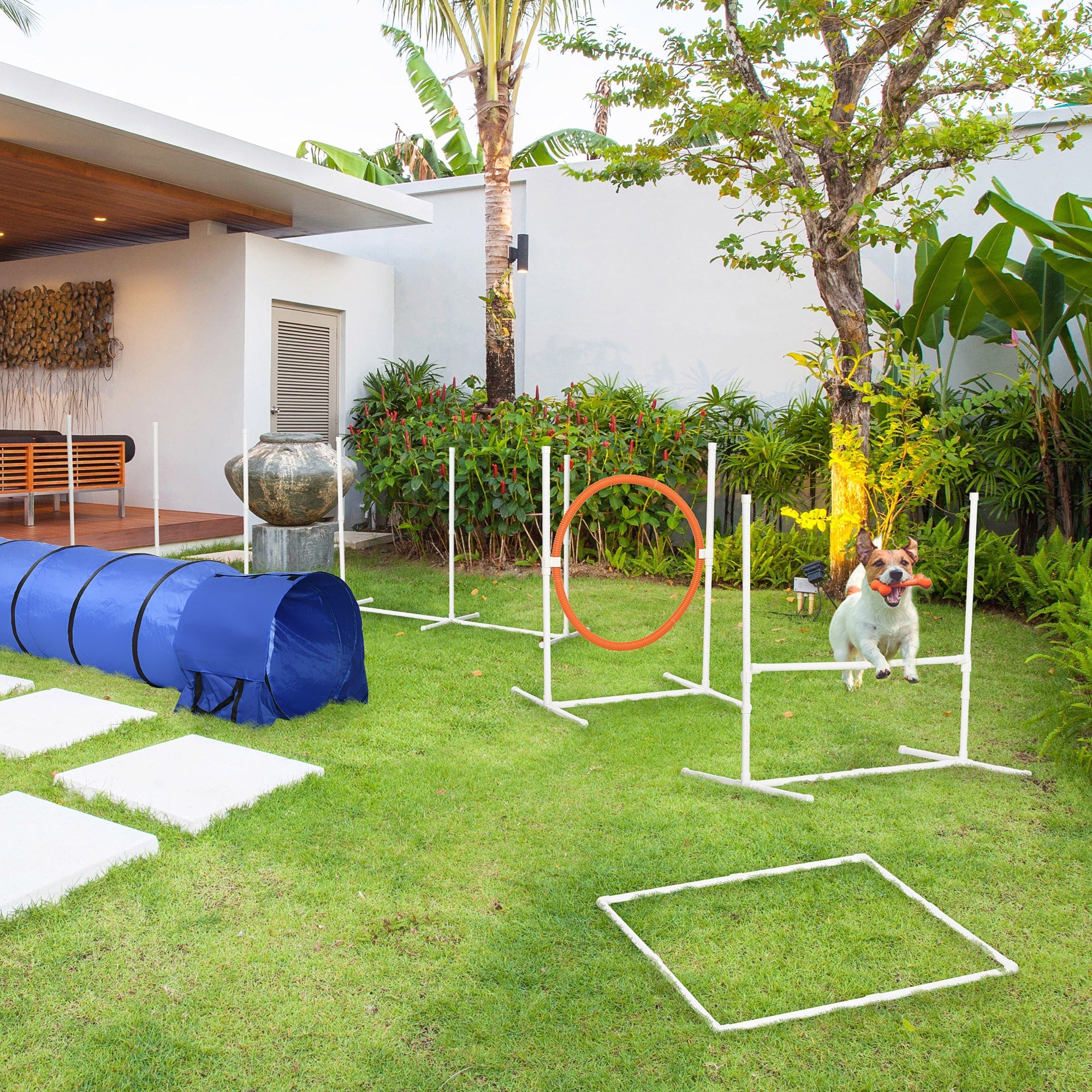 Adjustable Dog Agility Training Set with Jump Ring, Poles, Box, Bag, Whistle Dog Agility Training Equipment   at Gallery Canada