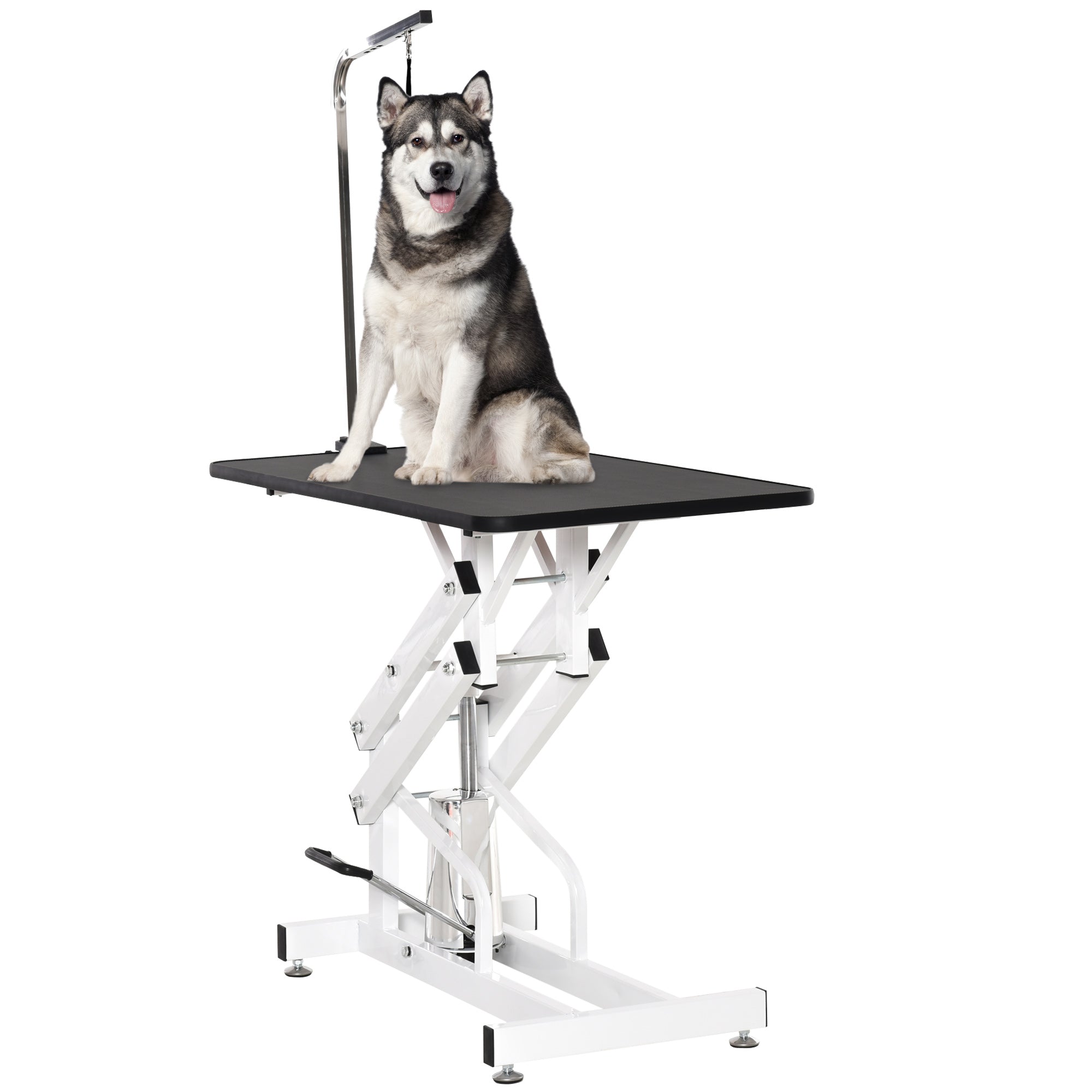 Pet Grooming Table, Height Adjustable Dog Grooming Table with Arm, Noose and Non-Slip Grooming Table, Black Dog Grooming Tables multi-colored, Black, White at Gallery Canada