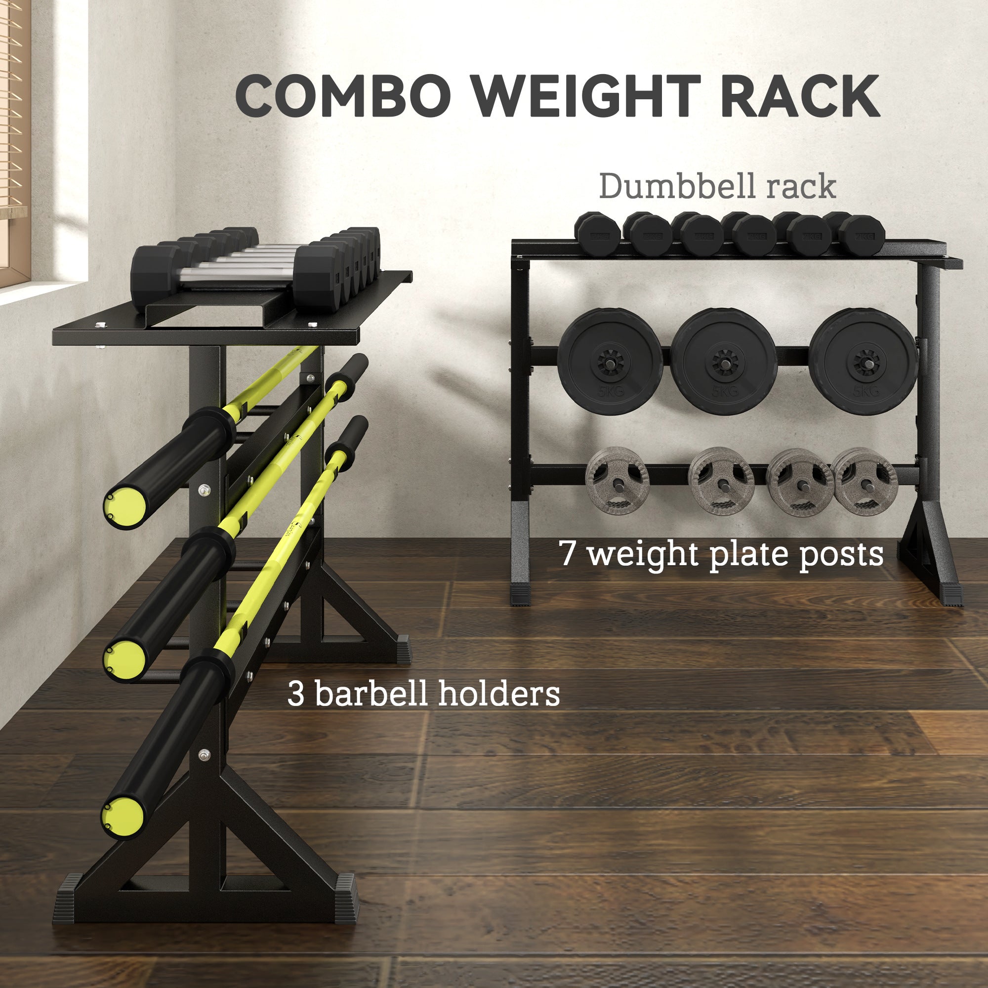 1100LBS Capacity Weight Rack, Weight Plate Rack, and Dumbbell Rack for Home Gym Storage Accessories at Gallery Canada