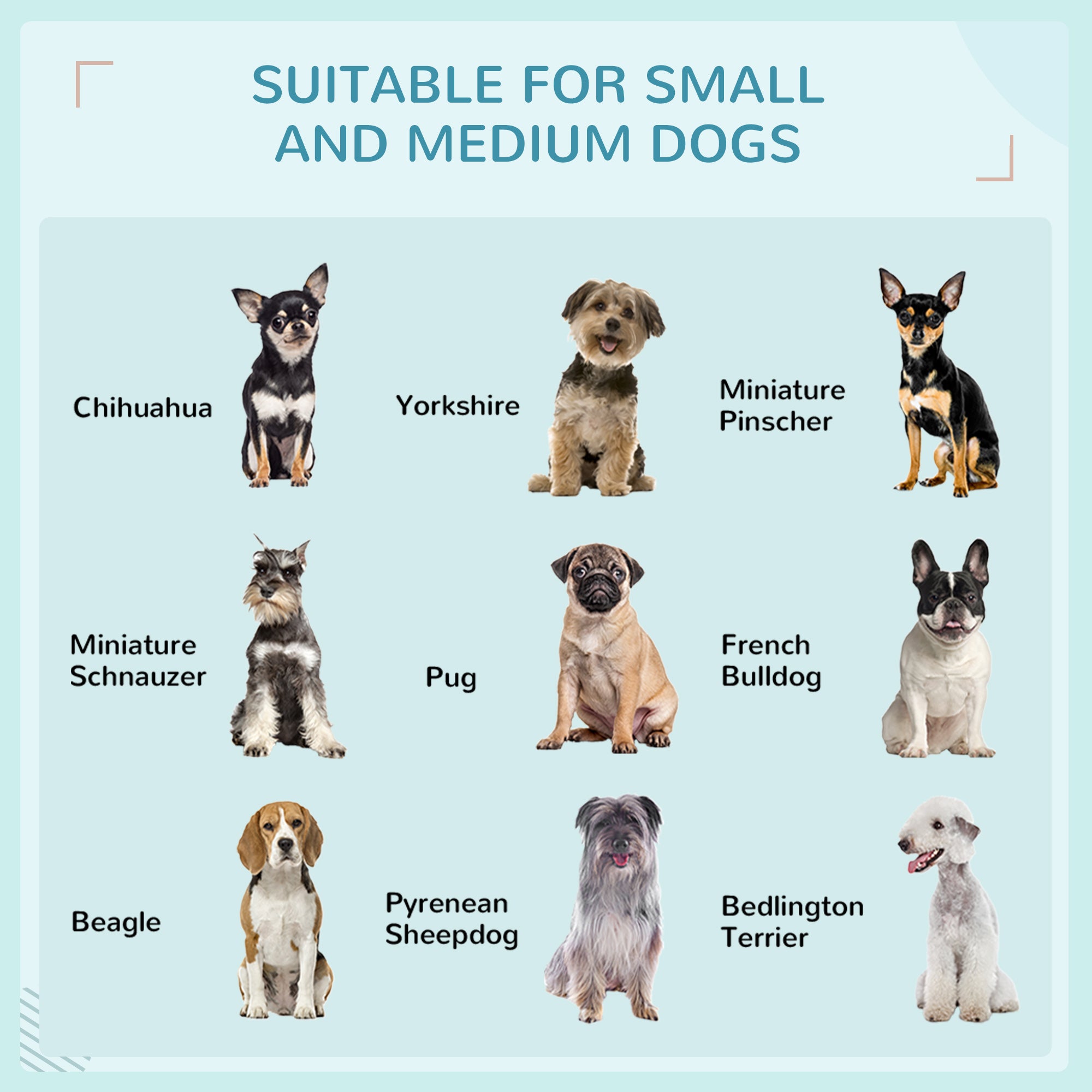 Outdoor Dog House Extendable Wicker Dog Bed with Soft Cushion Washable Cover, for Small and Medium Dogs, Blue Houses, Kennels & Pens at Gallery Canada