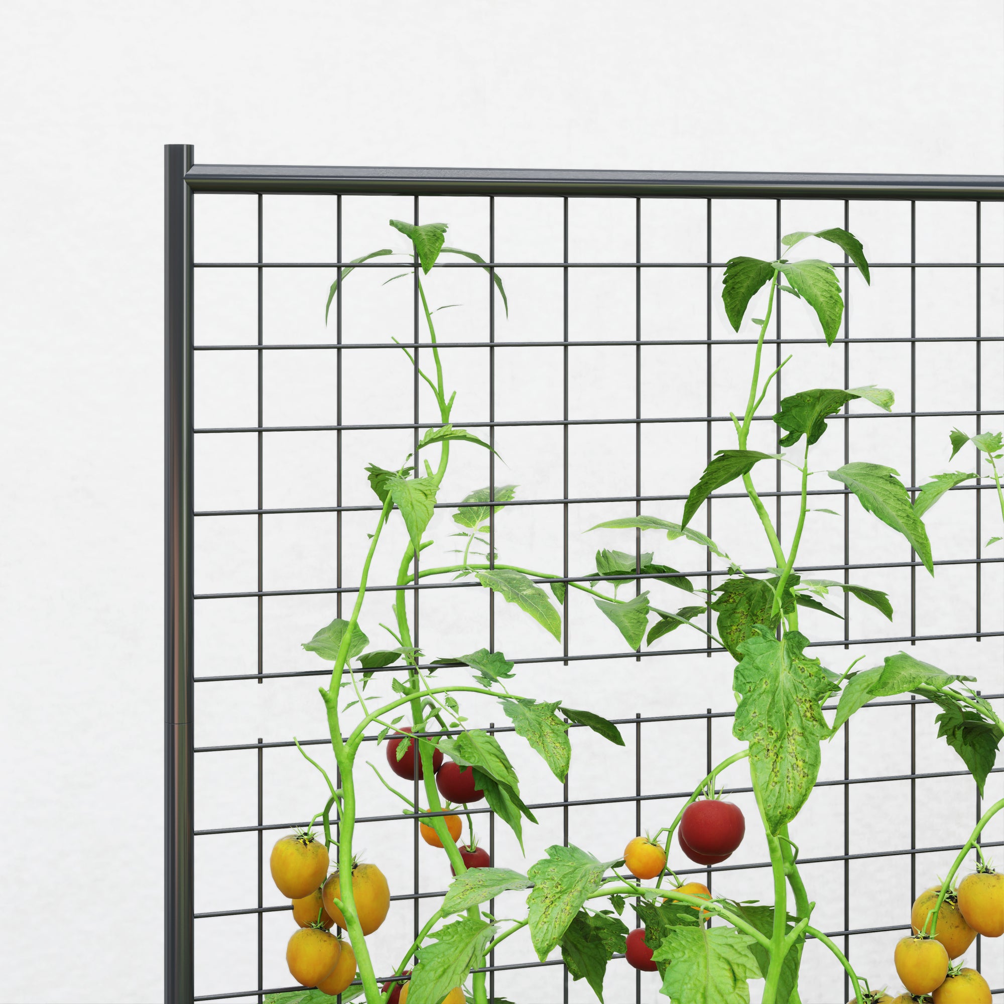 Galvanized Raised Garden Bed with Trellis for Climbing Plants, Outdoor Planter Box with Open Bottom, Dark Grey Raised Garden Beds at Gallery Canada