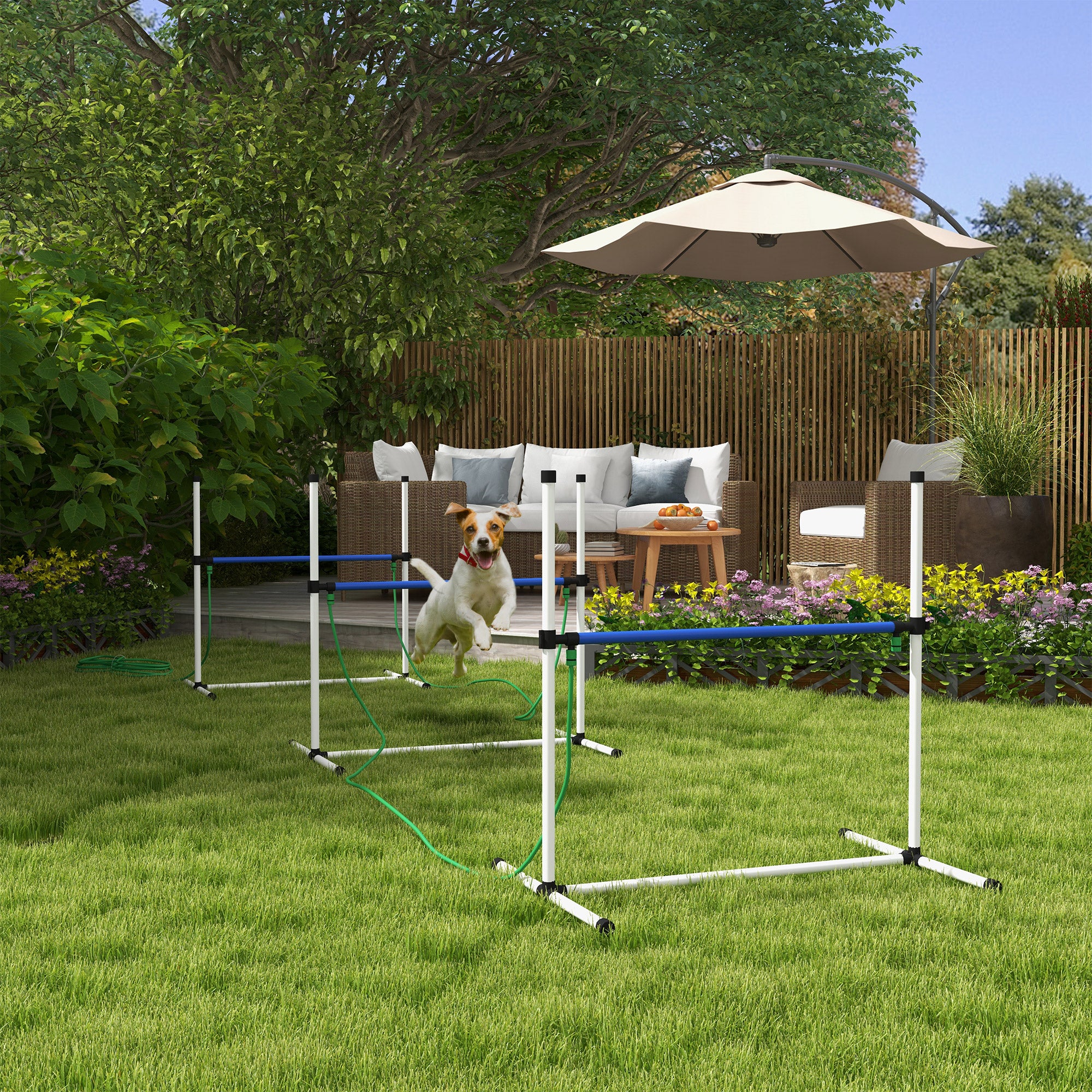 4PCs Dog Agility Equipment Set with Adjustable Height Hurdles, Spray Water Tube, Whistle, Carry Bag, White Dog Agility Training Equipment at Gallery Canada