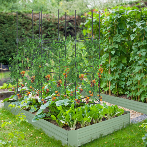 3 Pack Tomato Cage Set, 72 Inch DIY Tomato Plant Support Trellis, Tomato Trellis for Climbing Vegetables, Flowers and Fruits, Dark Green