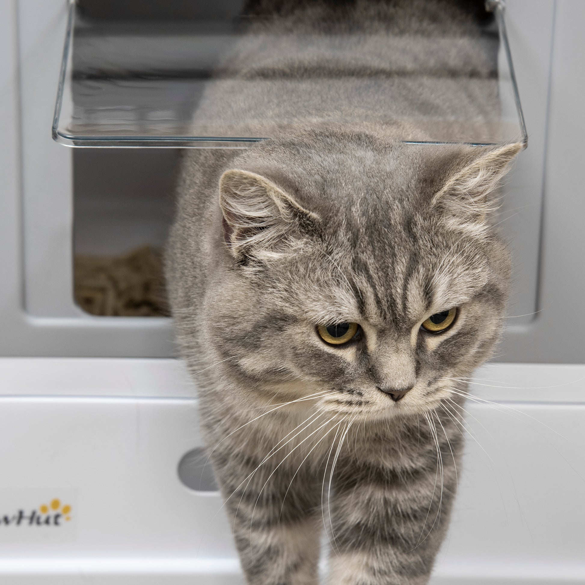 Top Entry Enclosed Kitty Litter Box with Scoop, Tray, Front Entry, Large Space, Foldable, Portable, Grey Cat Litter Box Enclosures   at Gallery Canada