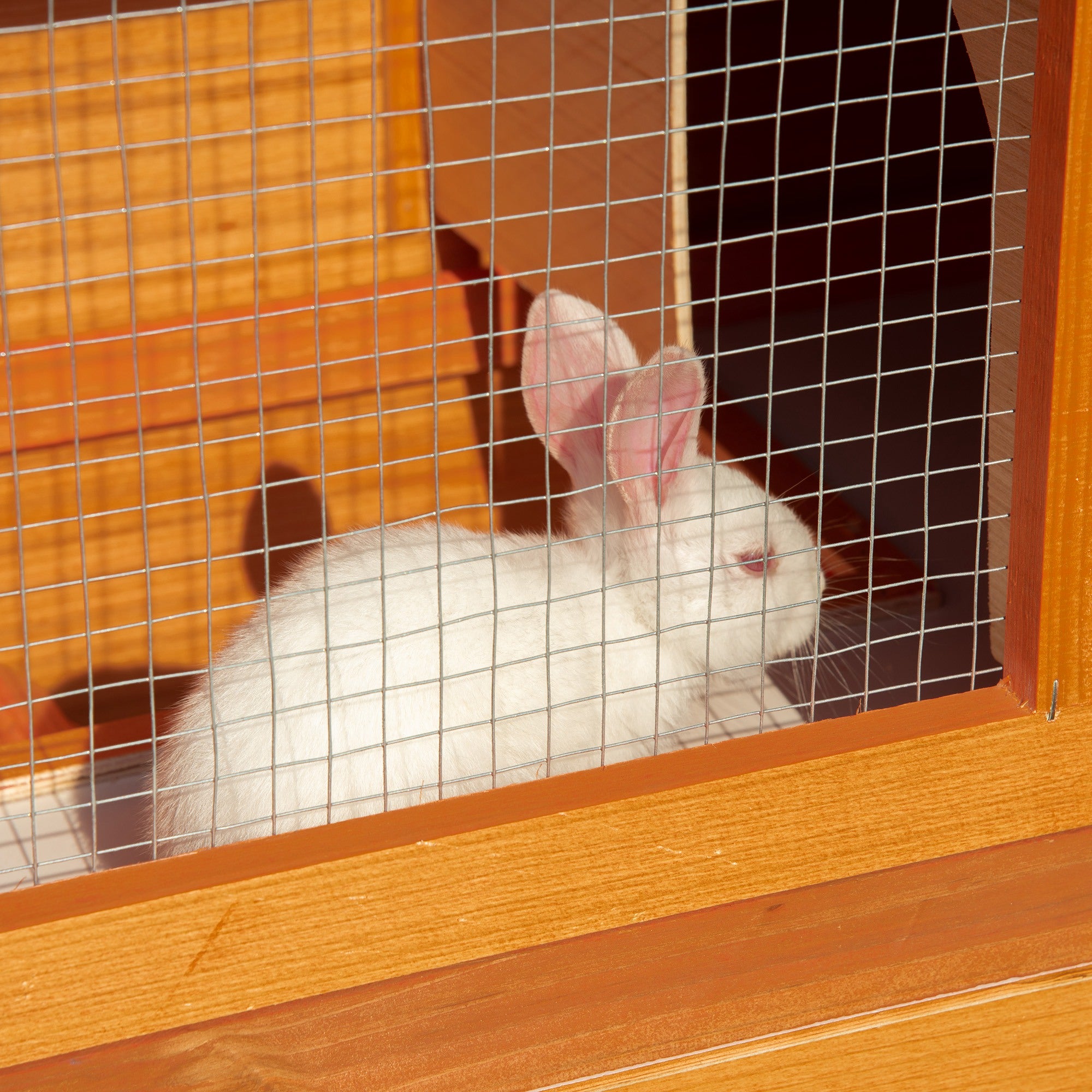 Wooden Rabbit Hutch Small Animal House Cage 2-Level w/ Run Backyard Rabbit Hutch at Gallery Canada