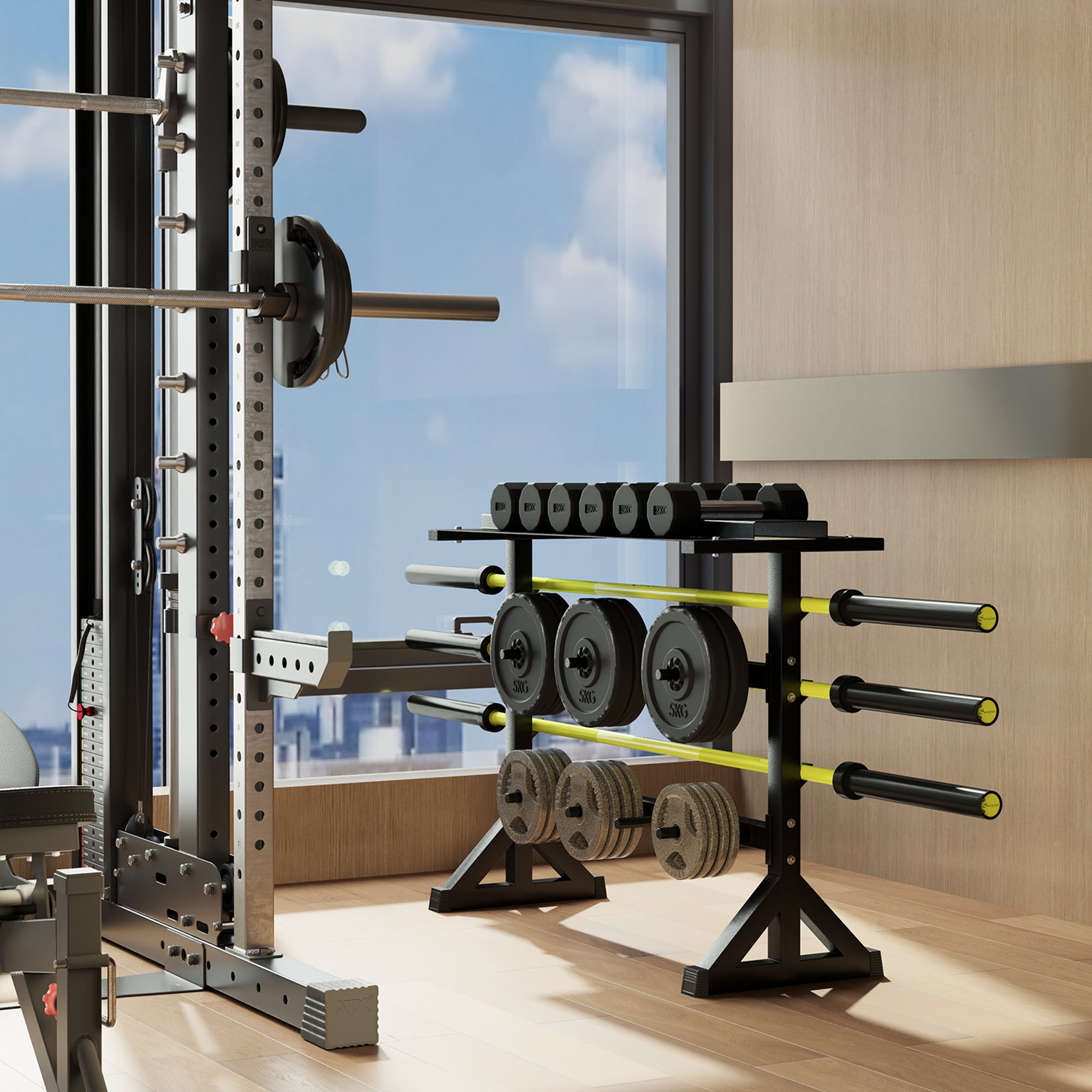 1100LBS Capacity Weight Rack, Weight Plate Rack, and Dumbbell Rack for Home Gym Storage Accessories at Gallery Canada