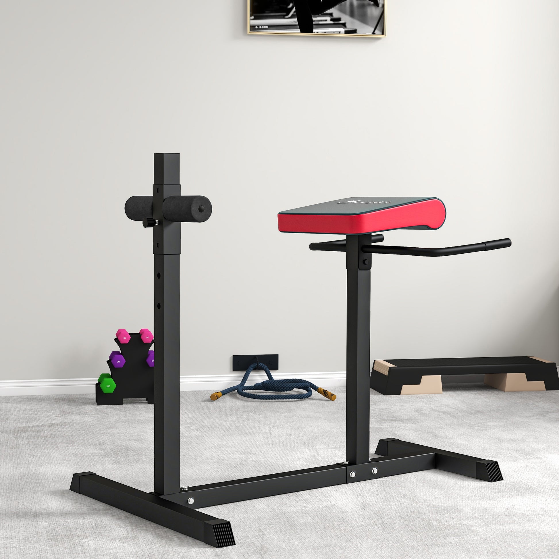 Back Extension Roman Chair, Hyperextension Bench with Adjustable Leg Roller for Back, Abdominal and Gluteal Training Weight Benches   at Gallery Canada