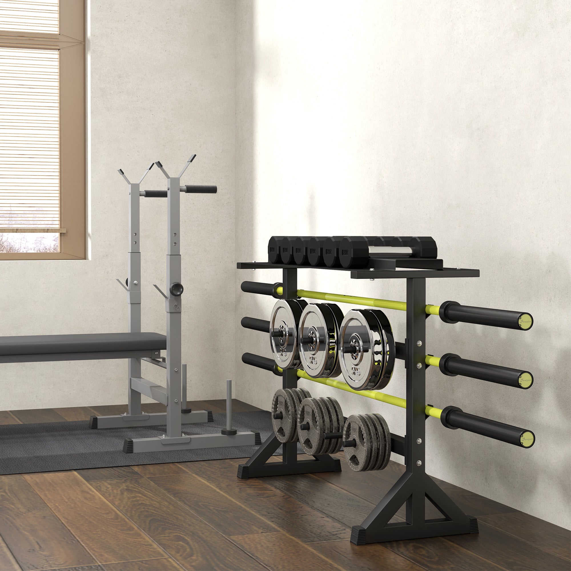 1100LBS Capacity Weight Rack, Weight Plate Rack, and Dumbbell Rack for Home Gym Storage Accessories at Gallery Canada