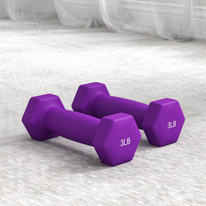 2 x 2 lbs., 2 x 3 lbs., 2 x 5 lbs. Dumbbells Set with Dumbbell Rack, Hand Weights for Home Gym Training Dumbbells & Barbells   at Gallery Canada