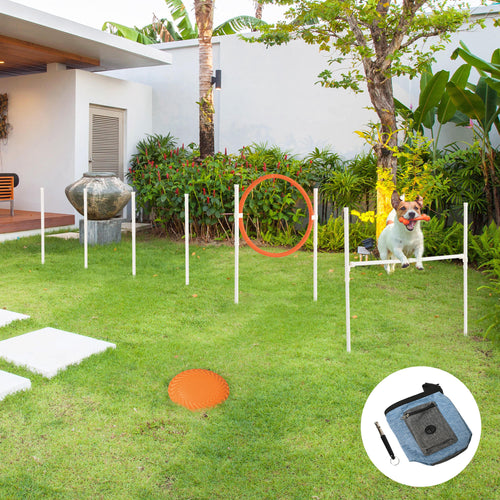 5 Pieces Dog Agility Training Equipment with Disc, Whistle, Weaves Poles, Adjustable Jumping Poles, Food Bag, Carry Bag