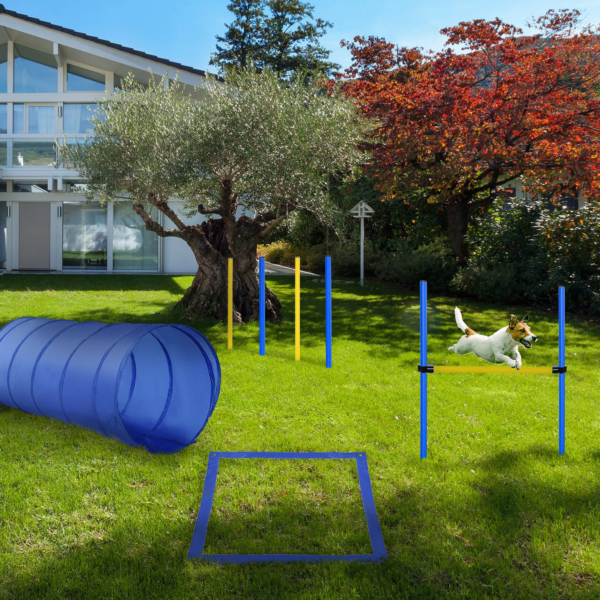 Dog Agility Starter Kit Pet Outdoor Exercise Training Set Tunnel 4 Weave Poles High Jumper Dog Agility Training Equipment at Gallery Canada