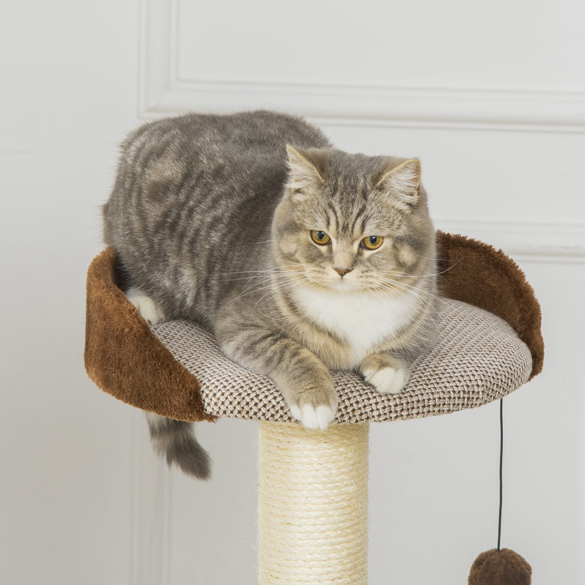 Cat Tree Tower Indoor Cats Climbing Activity Center Kitten Furniture w/ Cat House, Bed, Scratching Post, Hanging Toy, Brown Cat Towers   at Gallery Canada