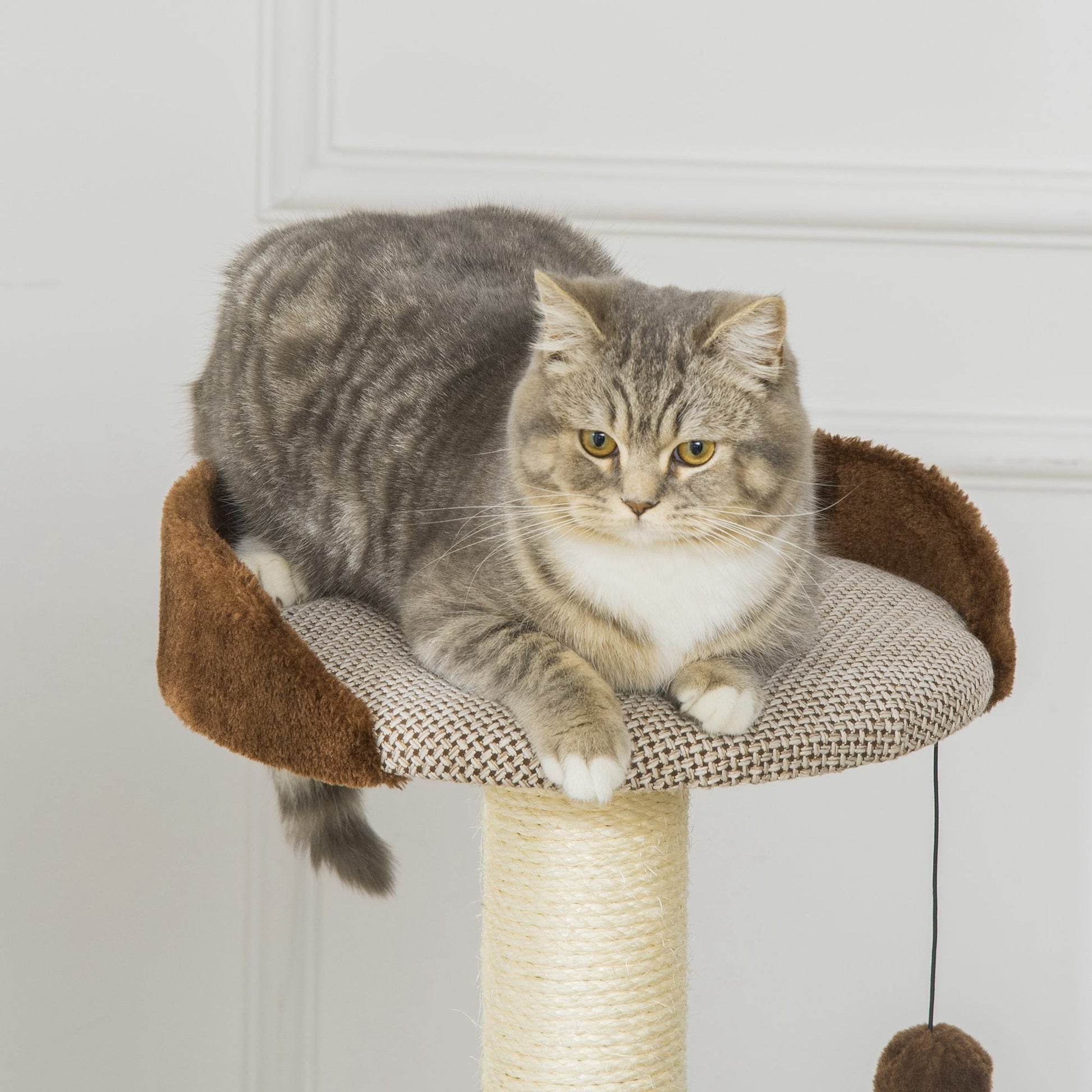 Cat Tree Tower Indoor Cats Climbing Activity Center Kitten Furniture w/ Cat House, Bed, Scratching Post, Hanging Toy, Brown - Gallery Canada