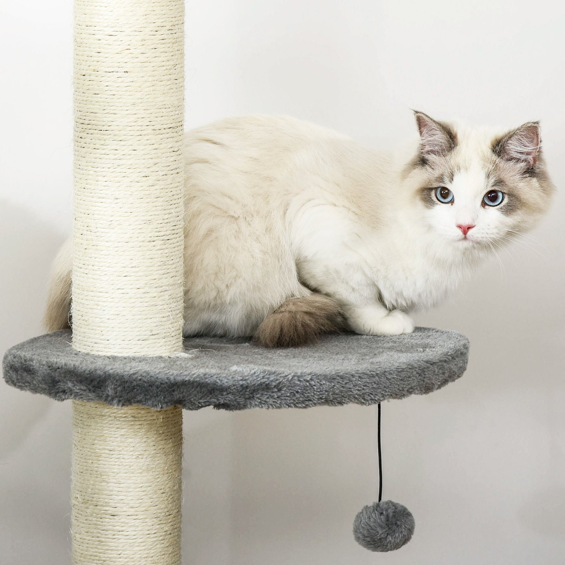 4-Tier Floor to Ceiling Cat Tree, Tall Cat Tower with Scratching Post, Plush Padding, Toy Ball, Cat Condo for Indoor Cats, Light Grey Floor to Ceiling Cat Trees   at Gallery Canada