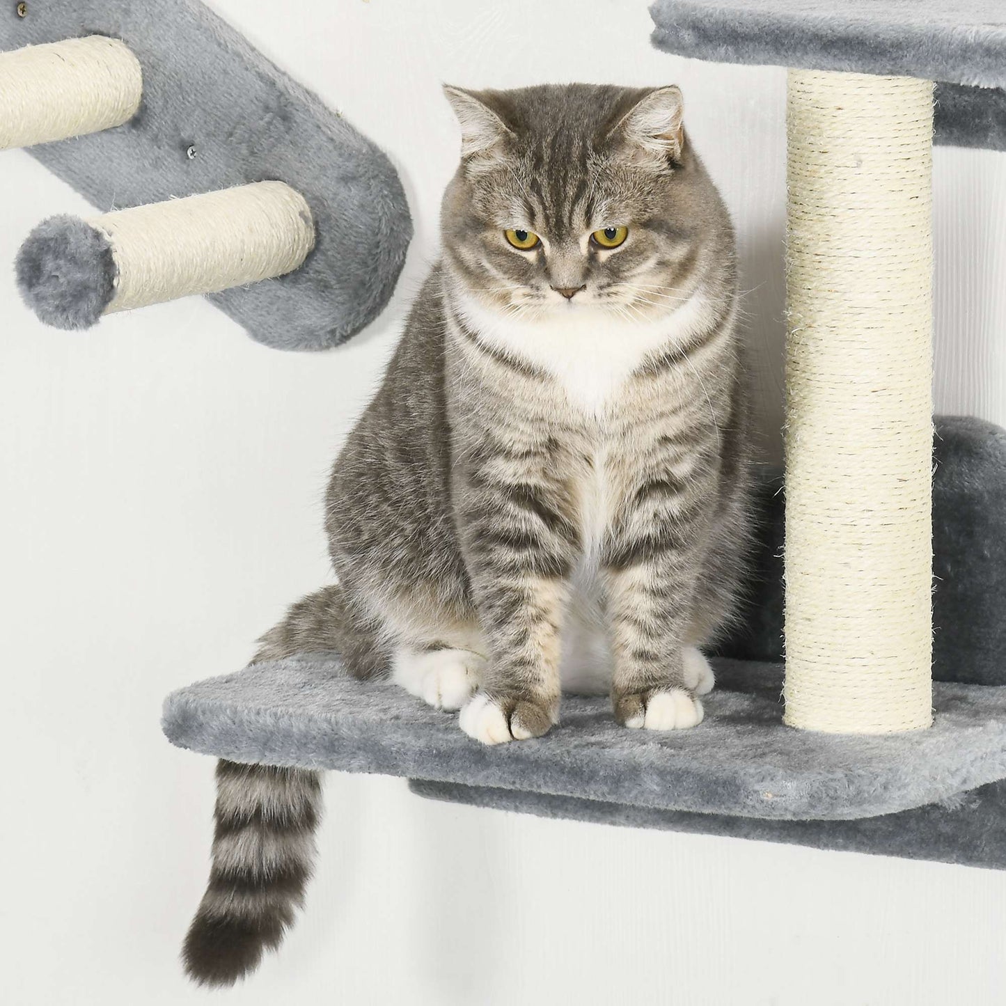 9.3" H Cat Wall Shelves Set with Condo, Cushion, Scratching Post, Grey Cat Climbing Wall   at Gallery Canada