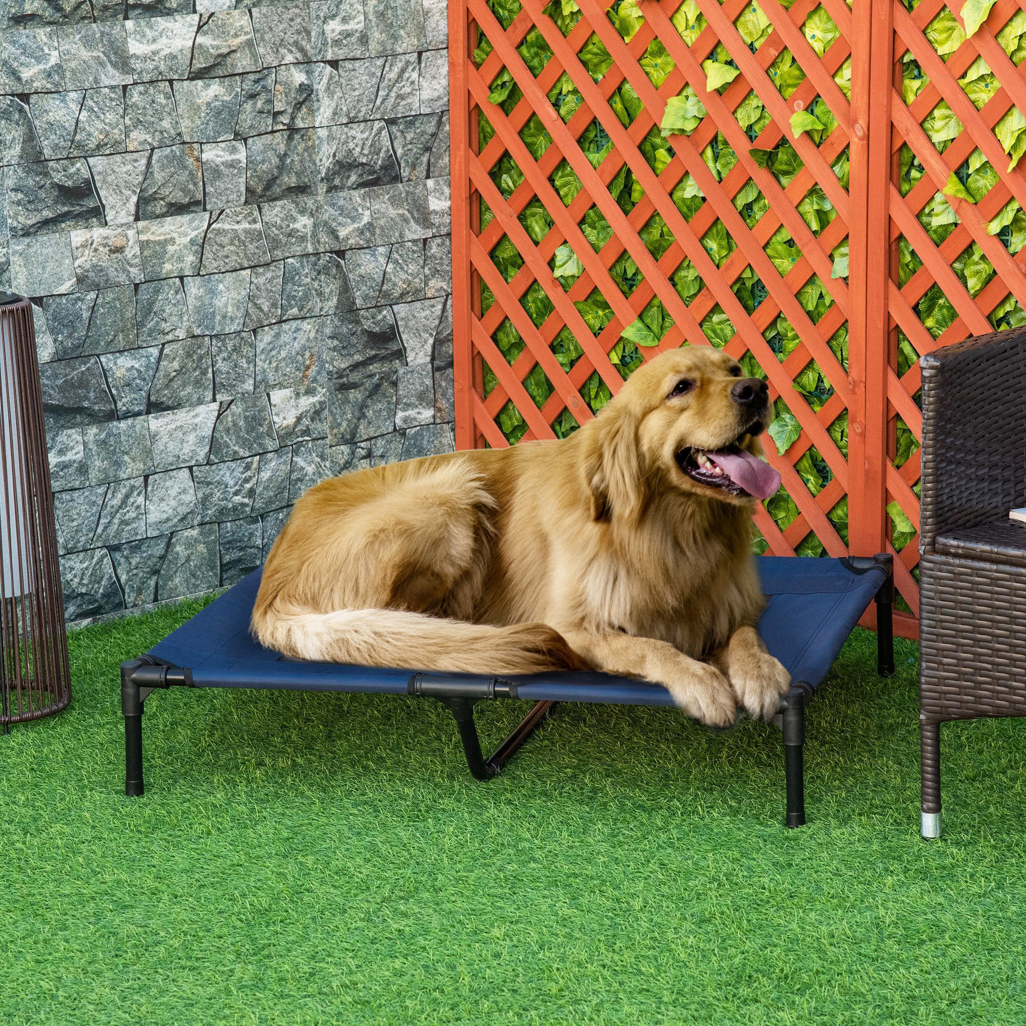 Elevated Dog Bed, Raised Dog Cot for XL Sized Dogs, Indoor &; Outdoor, 36