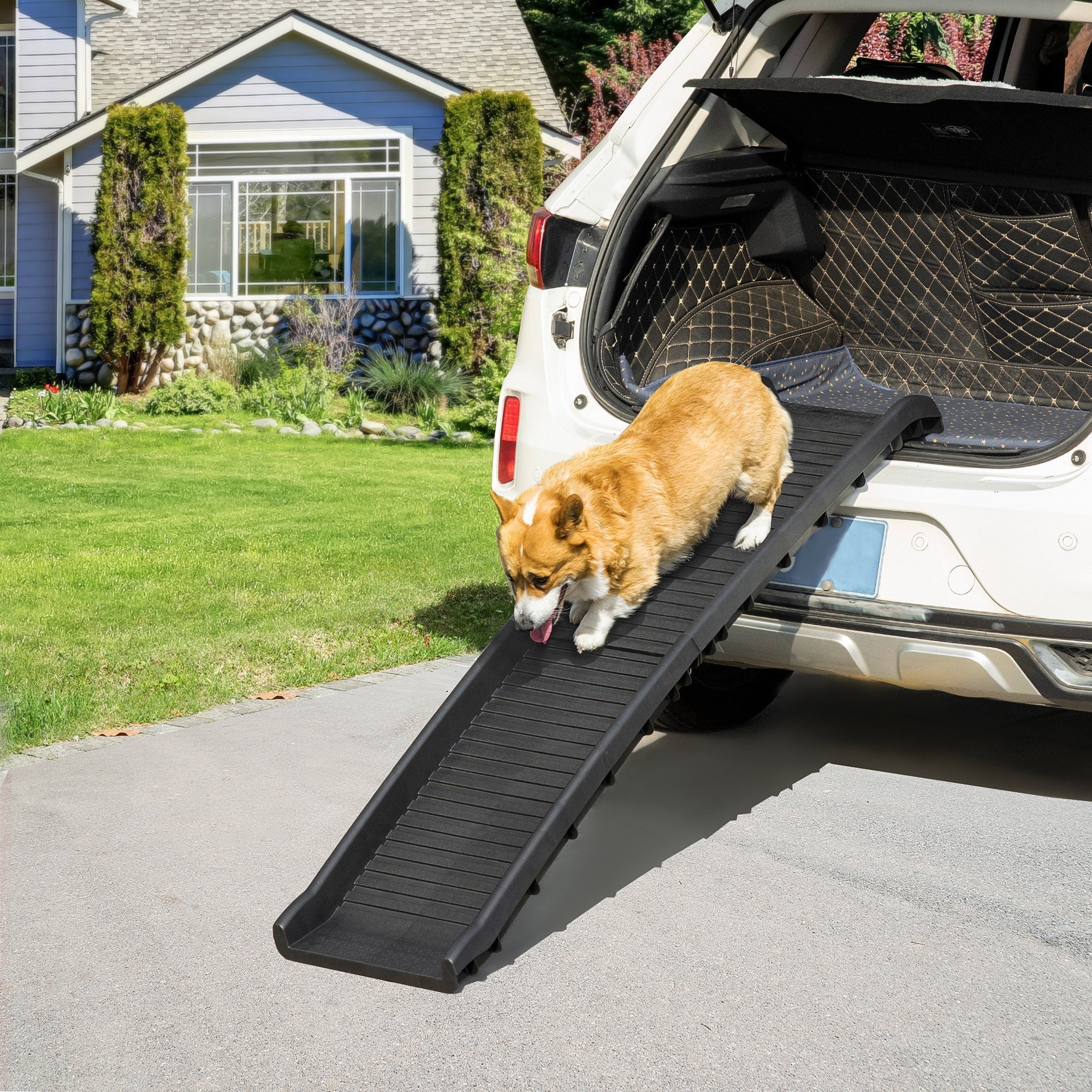 Pet Ramp for Dogs 61 Inch Long, Dog Ramps for Car, Truck, SUV, Foldable Portable Dog Stairs   at Gallery Canada