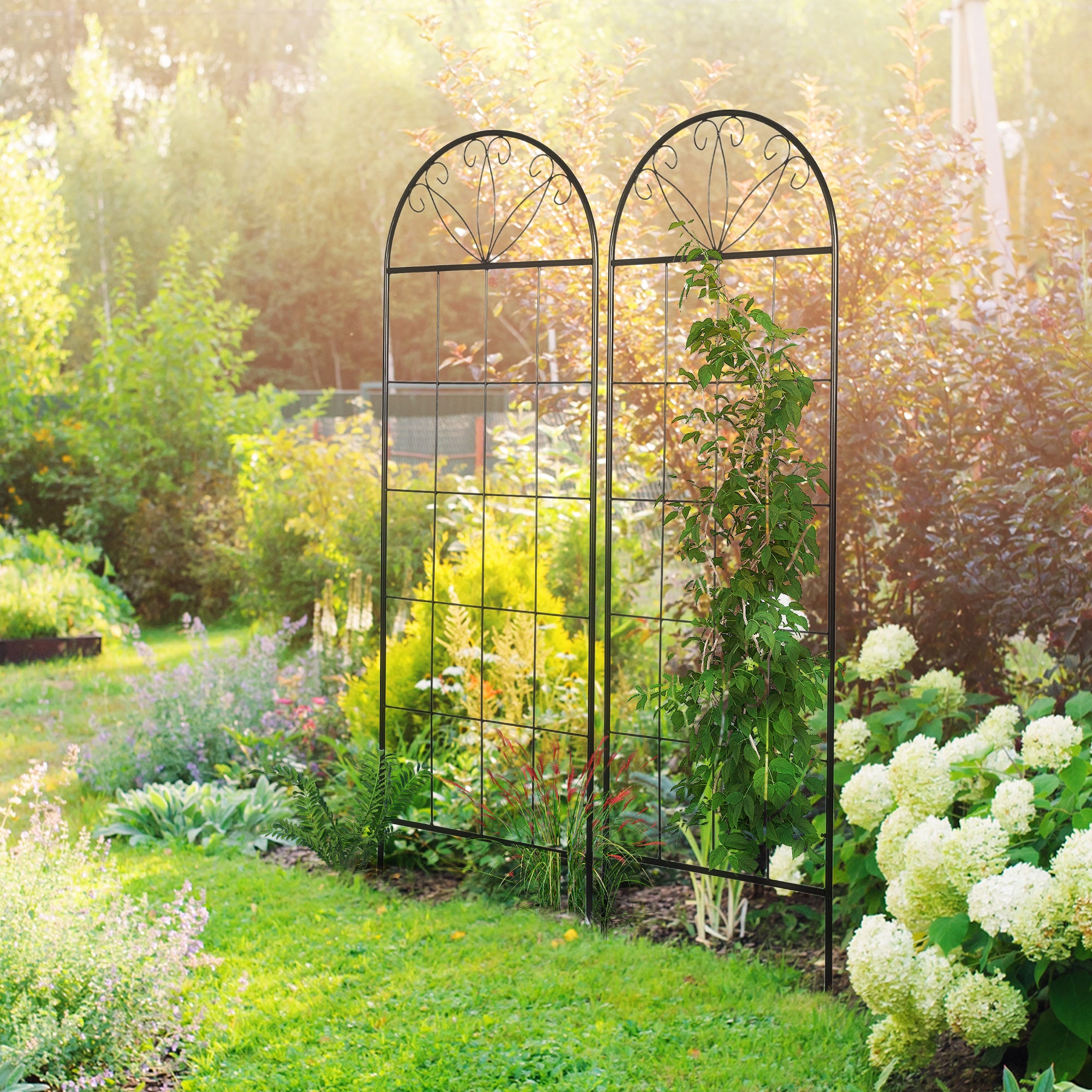 Metal Garden Trellis Pack of 2 for Climbing Plants, Arched Grid Trellis Panels, 20