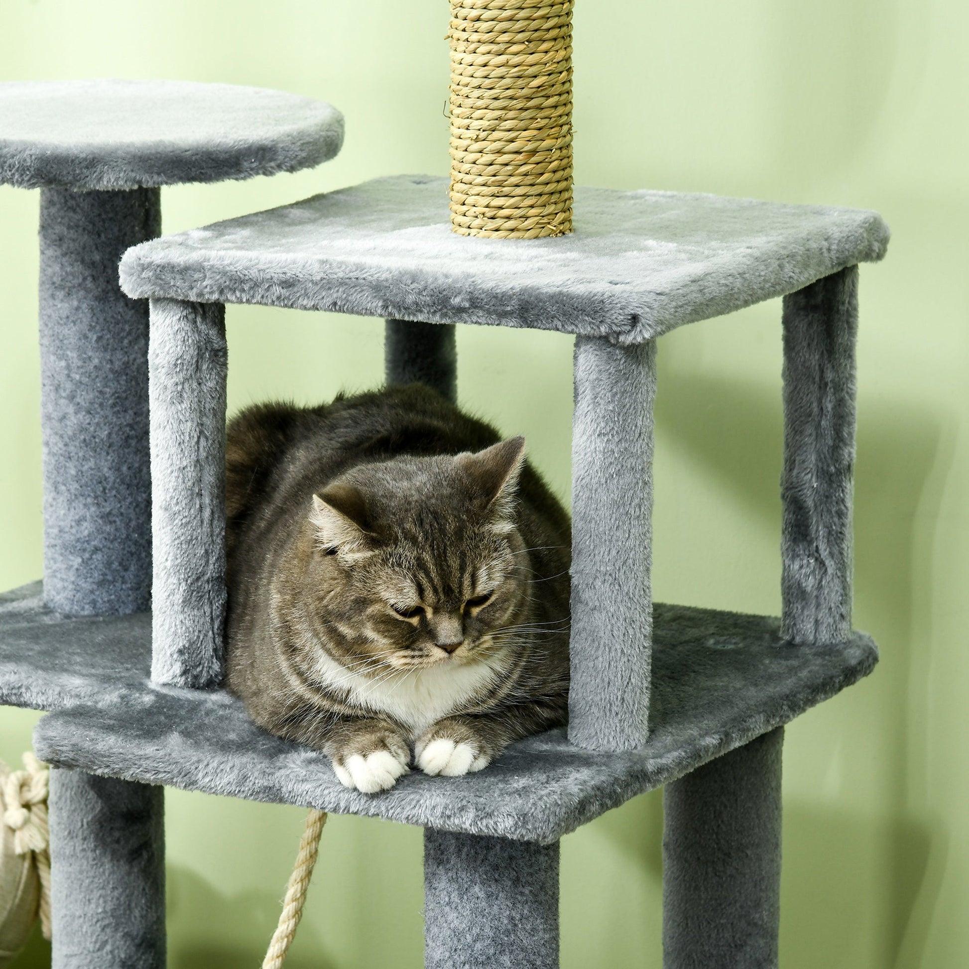 54" Cat Tree for Larger Cats Adult with Hammock, Tal Cat Tree Tower with Scratching Post, Condo, Platforms, Play Balls for Indoor Cats, Grey Cat Towers   at Gallery Canada