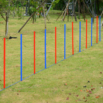 Dog Agility Equipment Set, Portable Dog Agility training equipment for Outdoor Play Run Dog Agility Training Equipment   at Gallery Canada