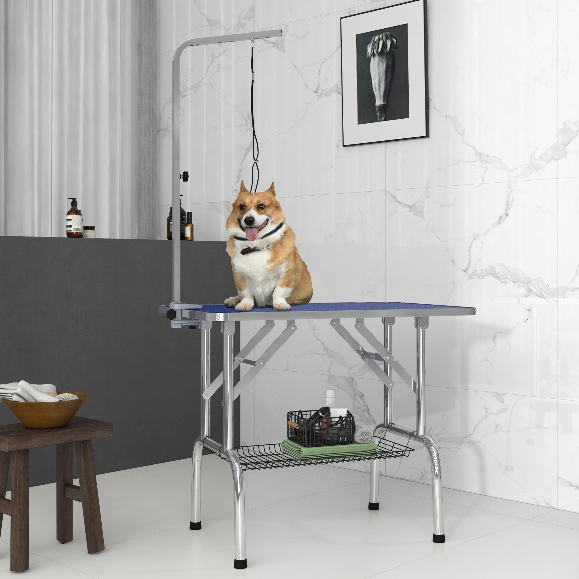 Foldable Grooming Table for Dogs with Height Adjustable Grooming Arm, Storage Shelf, Blue Dog Grooming Tables at Gallery Canada