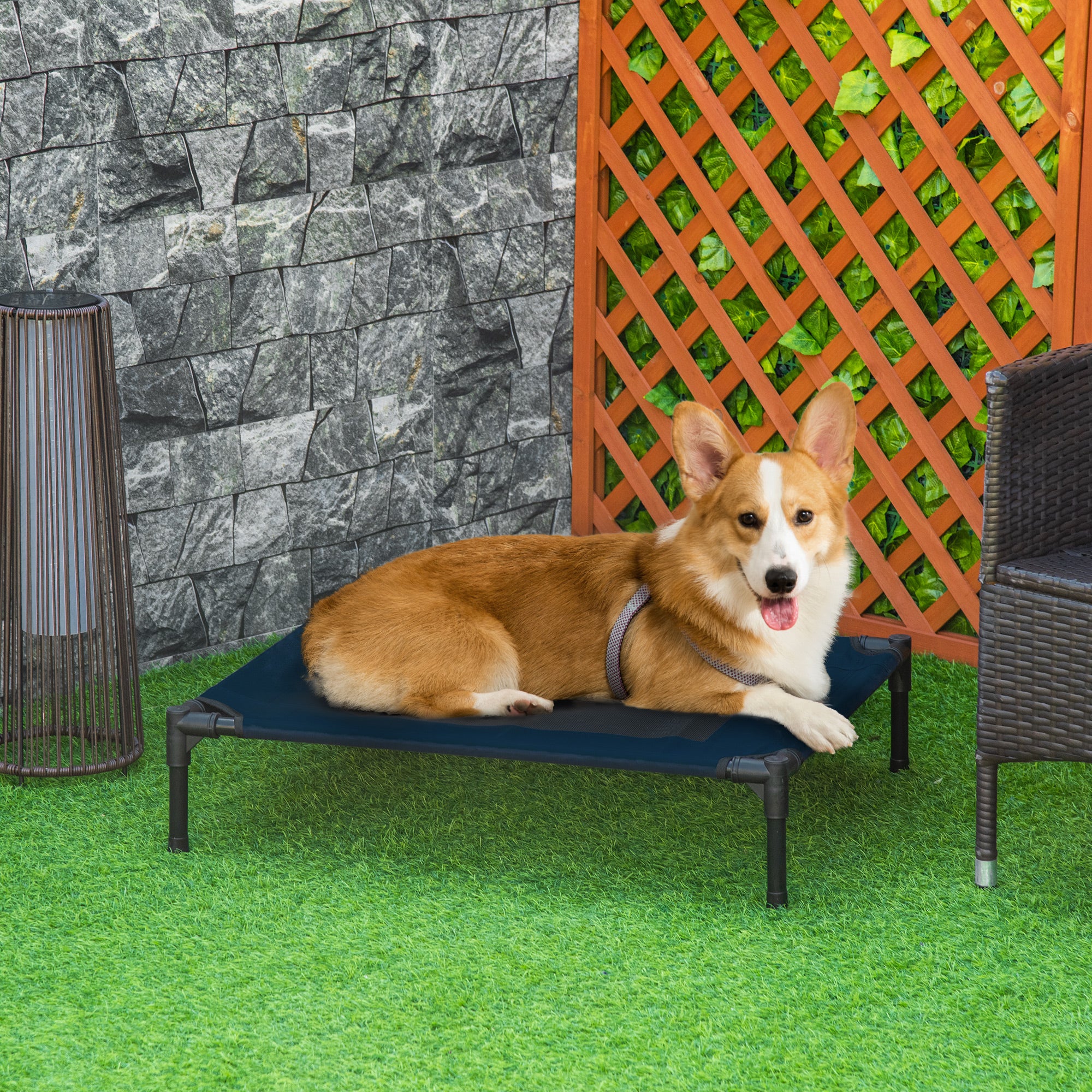 Elevated Dog Bed, Raised Dog Cot for M Sized Dogs, Indoor &; Outdoor, 30