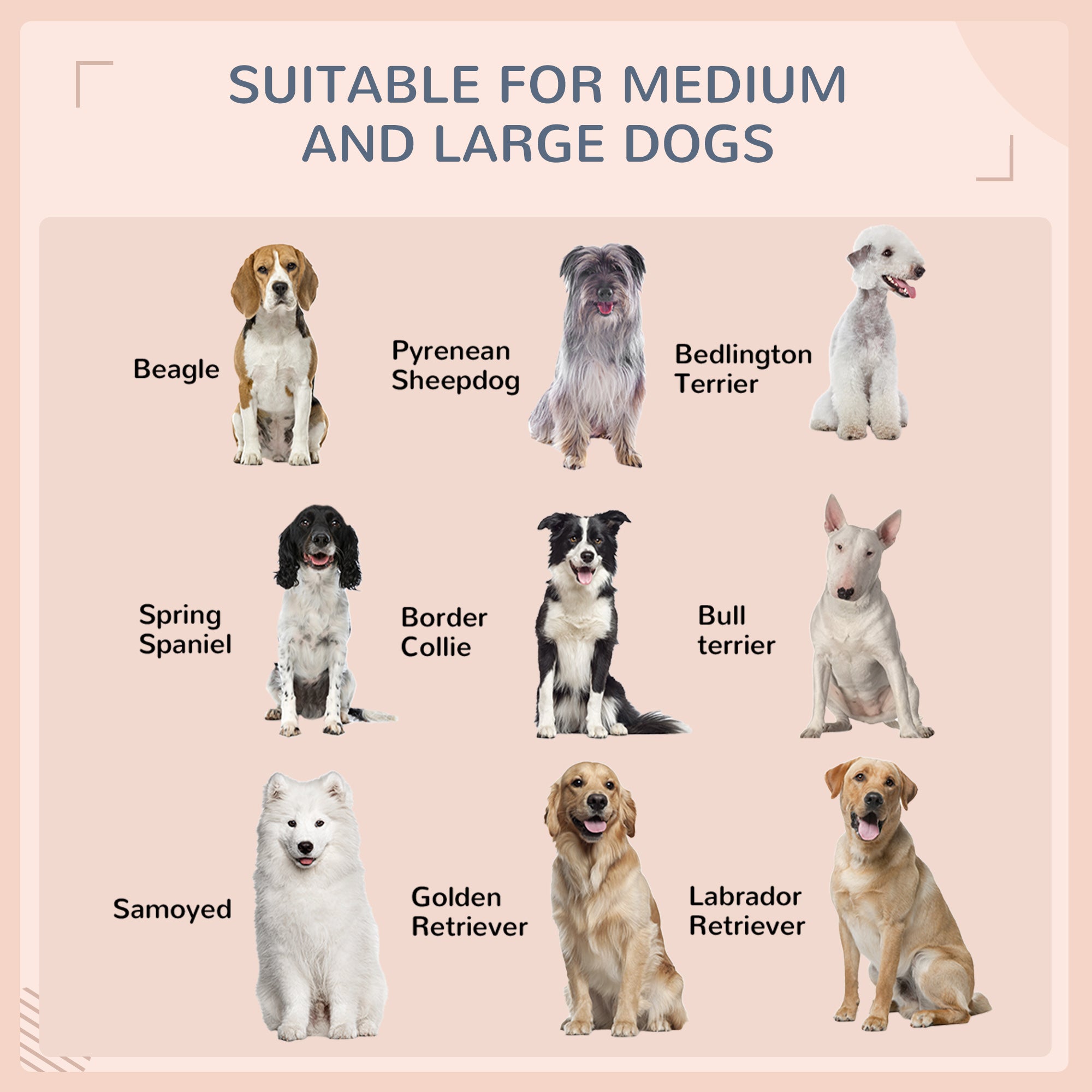 Outdoor Dog House Wicker Dog Bed with Soft Cushion Washable Cover, for Medium Large Dogs Indoor Outdoor, Cream White Houses, Kennels & Pens at Gallery Canada