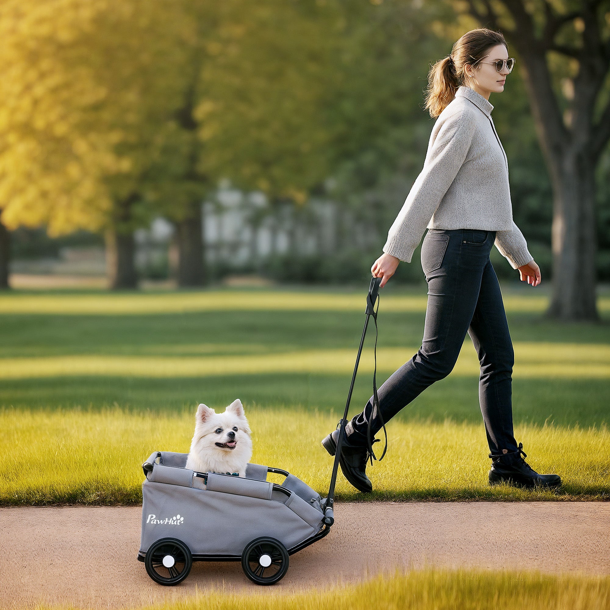 4 Wheels Folding Lightweight Pet Stroller with Universal Handle Rod, Storage Bag, Washable Cushion for Miniature Dogs Dog Bike Trailers & Strollers at Gallery Canada