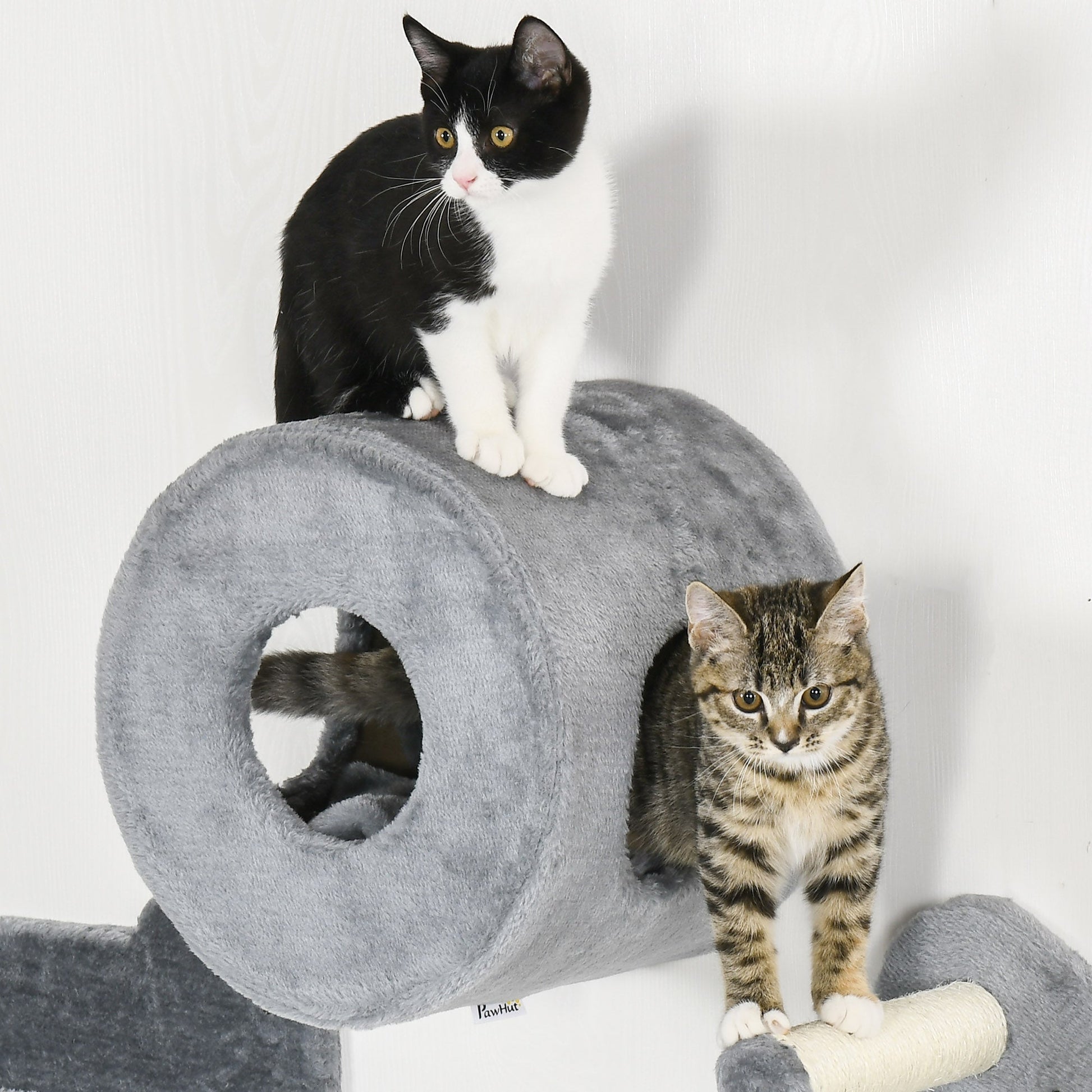 9.3" H Cat Wall Shelves Set with Condo, Cushion, Scratching Post, Grey Cat Climbing Wall   at Gallery Canada