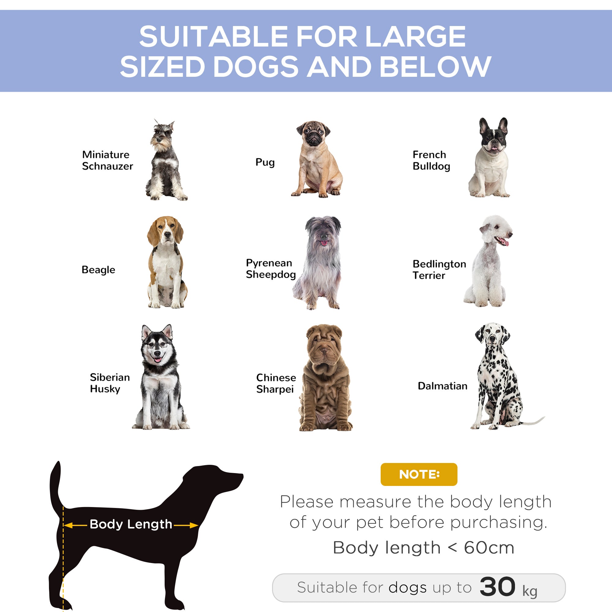 Elevated Dog Bed, Raised Dog Cot for XL Sized Dogs, Indoor &; Outdoor, 36