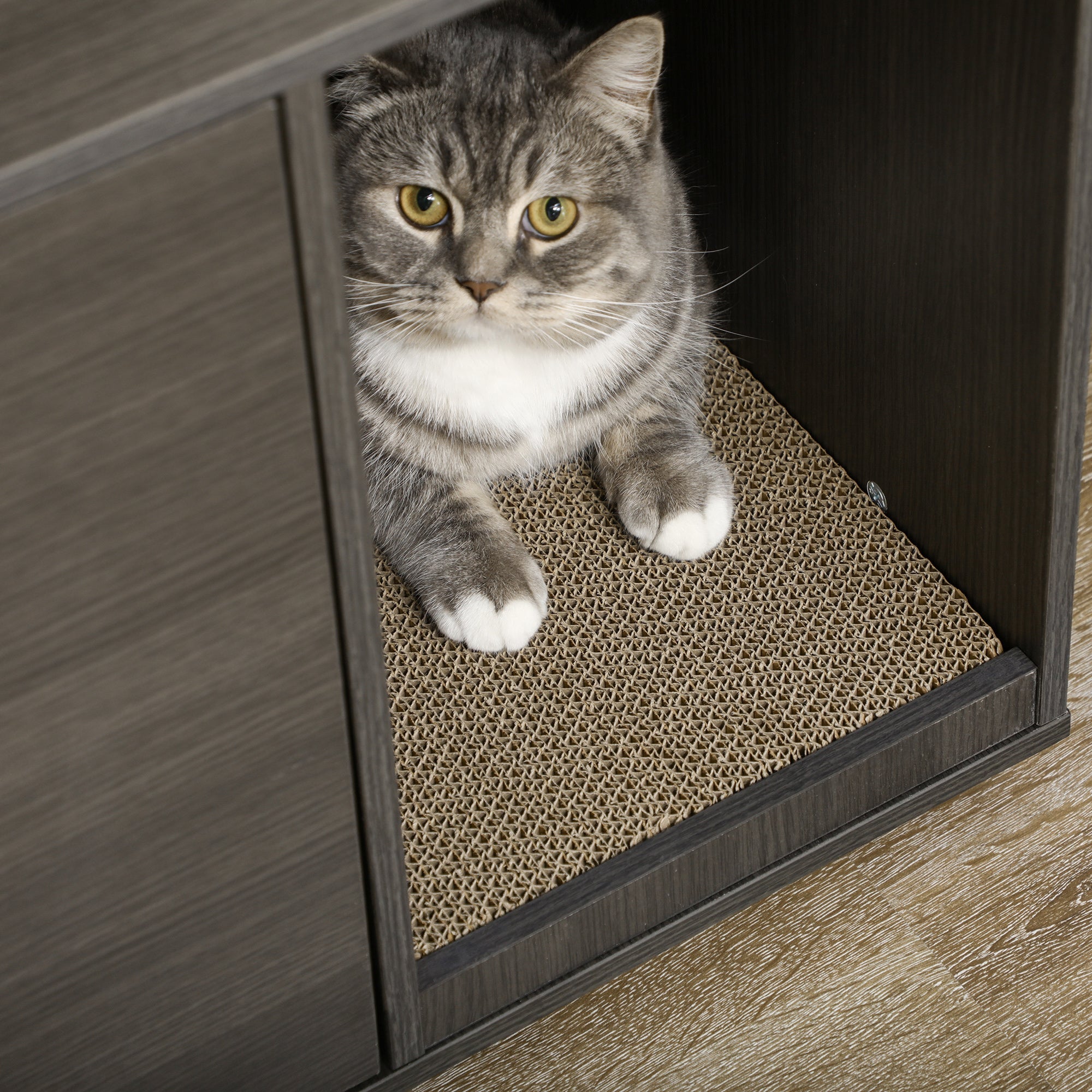 Industrial Cat Litter Box Enclosure with Scratching Pad and Double Doors, Black Cat Litter Box Enclosures   at Gallery Canada