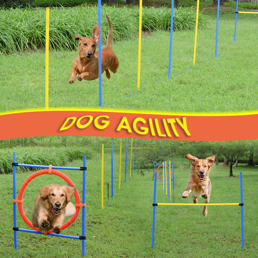 Dog Pet Obstacle Agility Training Kit High Jump Weave Pole Ring Obedience Equipment Portable - Gallery Canada