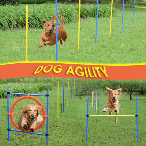 Dog Pet Obstacle Agility Training Kit High Jump Weave Pole Ring Obedience Equipment Portable