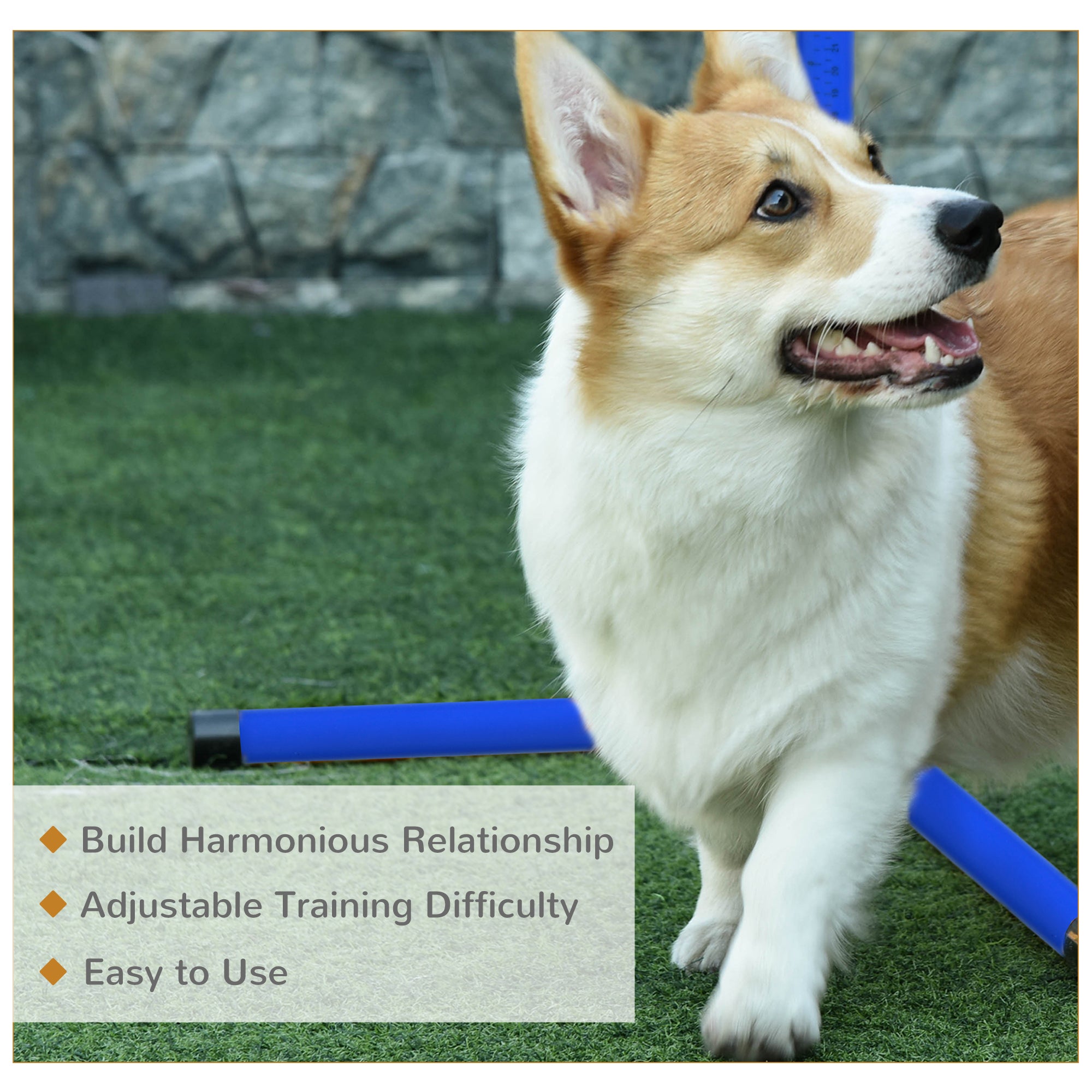 Set of 4 Dog Agility Training Equipment Adjustable Jump Bar Pet Exercise Kit with Carrying Bag (Blue) Dog Agility Training Equipment at Gallery Canada
