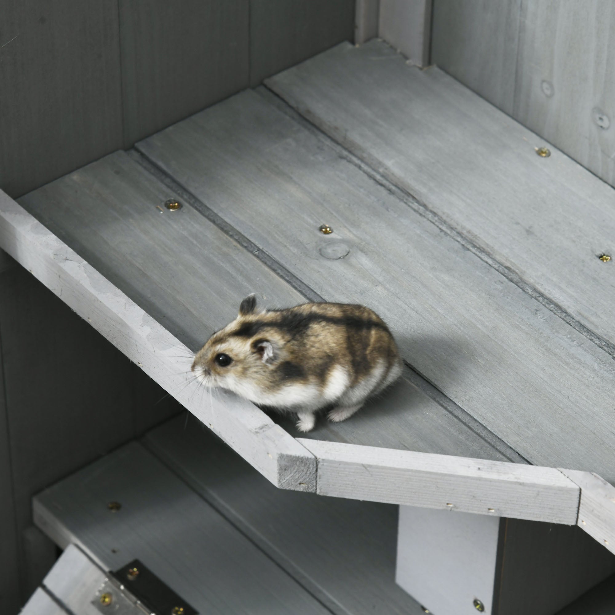3 Tier Wooden Hamster Cage with Wheels for Dwarf Hamster, Light Grey Hamster Cages at Gallery Canada