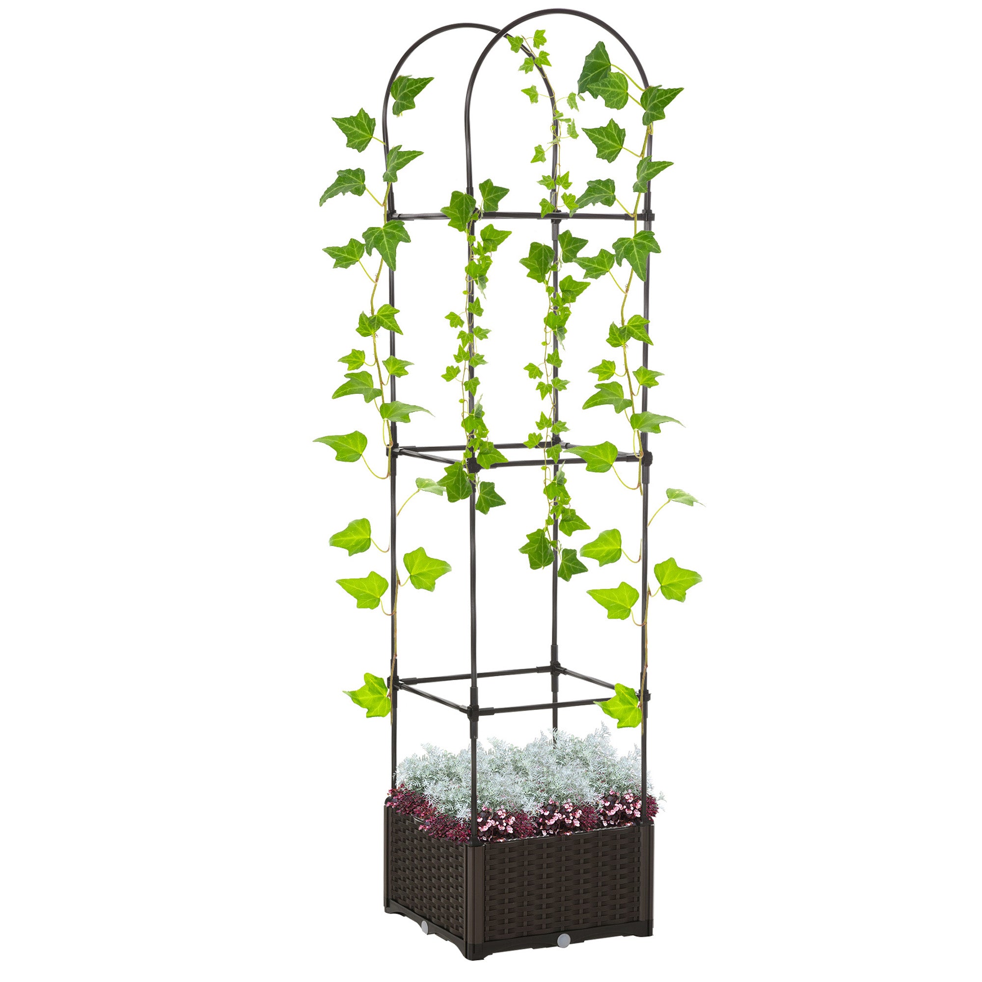 Raised Garden Bed with Trellis, Plastic Planter Box with Self-Watering Disk, Drainage Holes for Climbing Plants Elevated Garden Beds Brown, Black at Gallery Canada