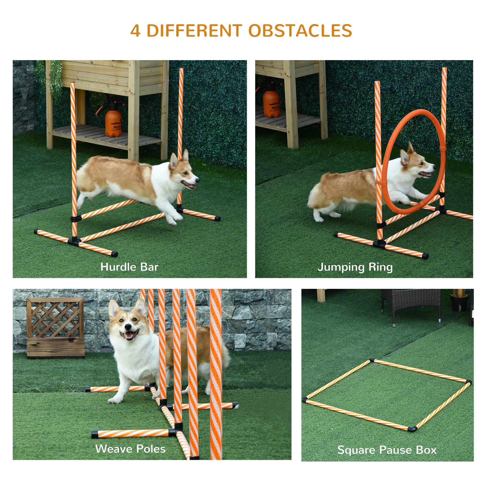 4PC Portable Pet Agility Training Set Hurdle for Dog Obstacle Exercise with Adjustable Height Jump Ring High Jumper Weave Poles Square Pause Box Carry Bag Whistle Orange and White Dog Agility Training Equipment at Gallery Canada