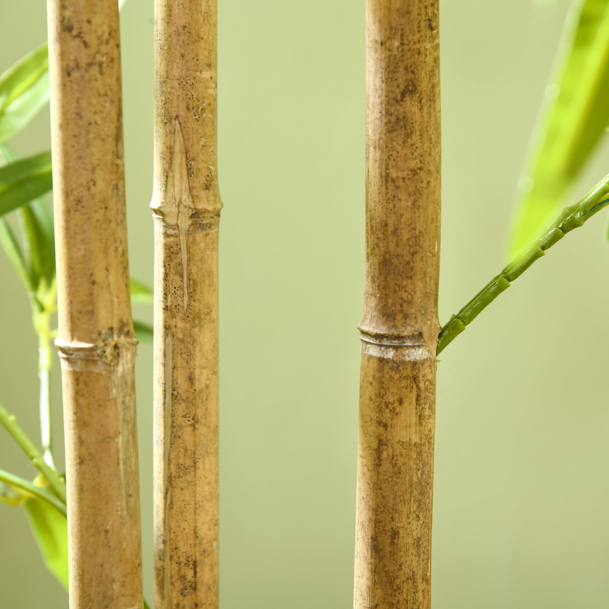 6ft Artificial Tree, Indoor Fake Bamboo with Pot, for Home Office Living Room Decor Artificial Trees at Gallery Canada