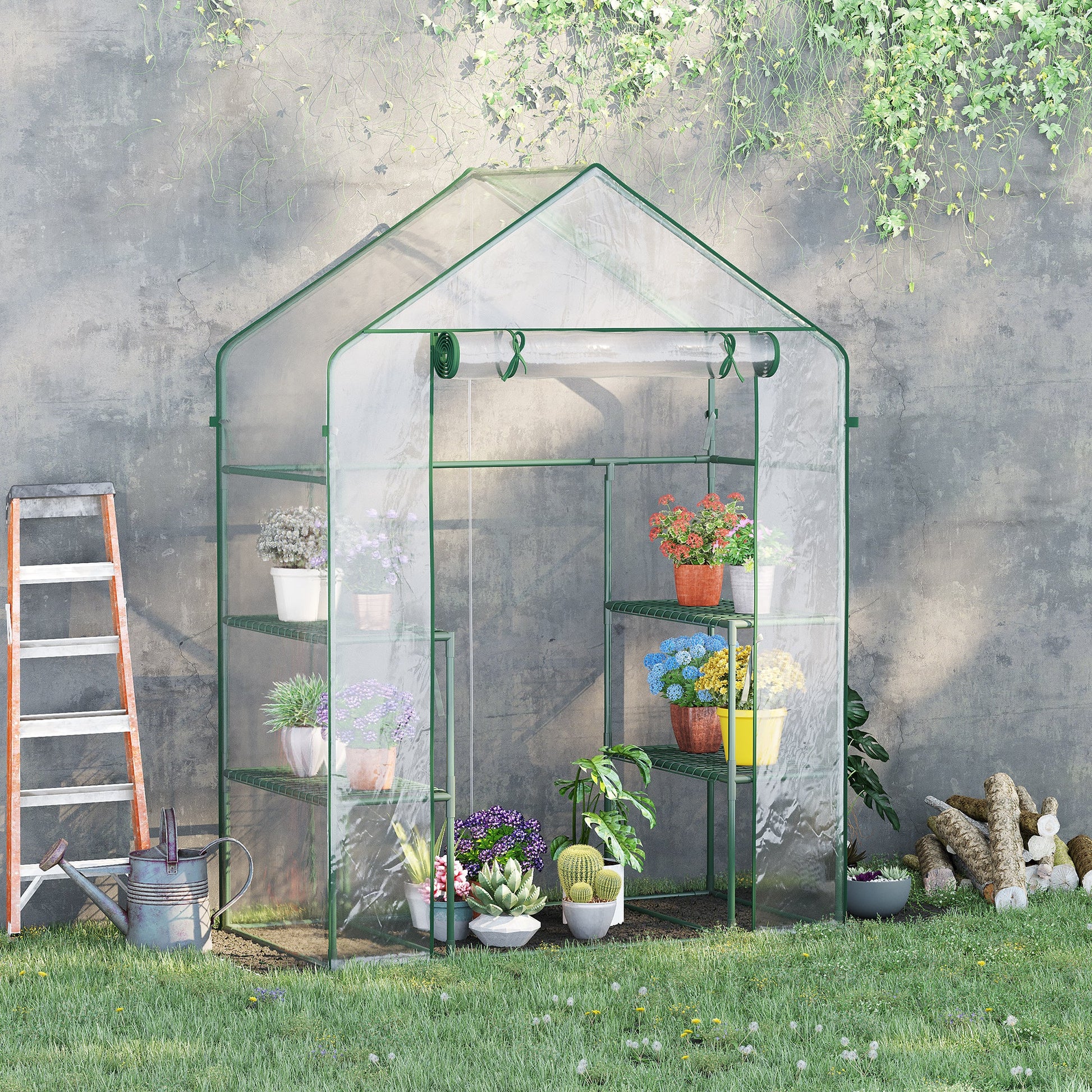 56" x 29" x 77" Walk-in Greenhouse, Mini Greenhouse with 4 Shelves, Roll-Up Door and Weatherized Cover, Clear Mini Greenhouses   at Gallery Canada